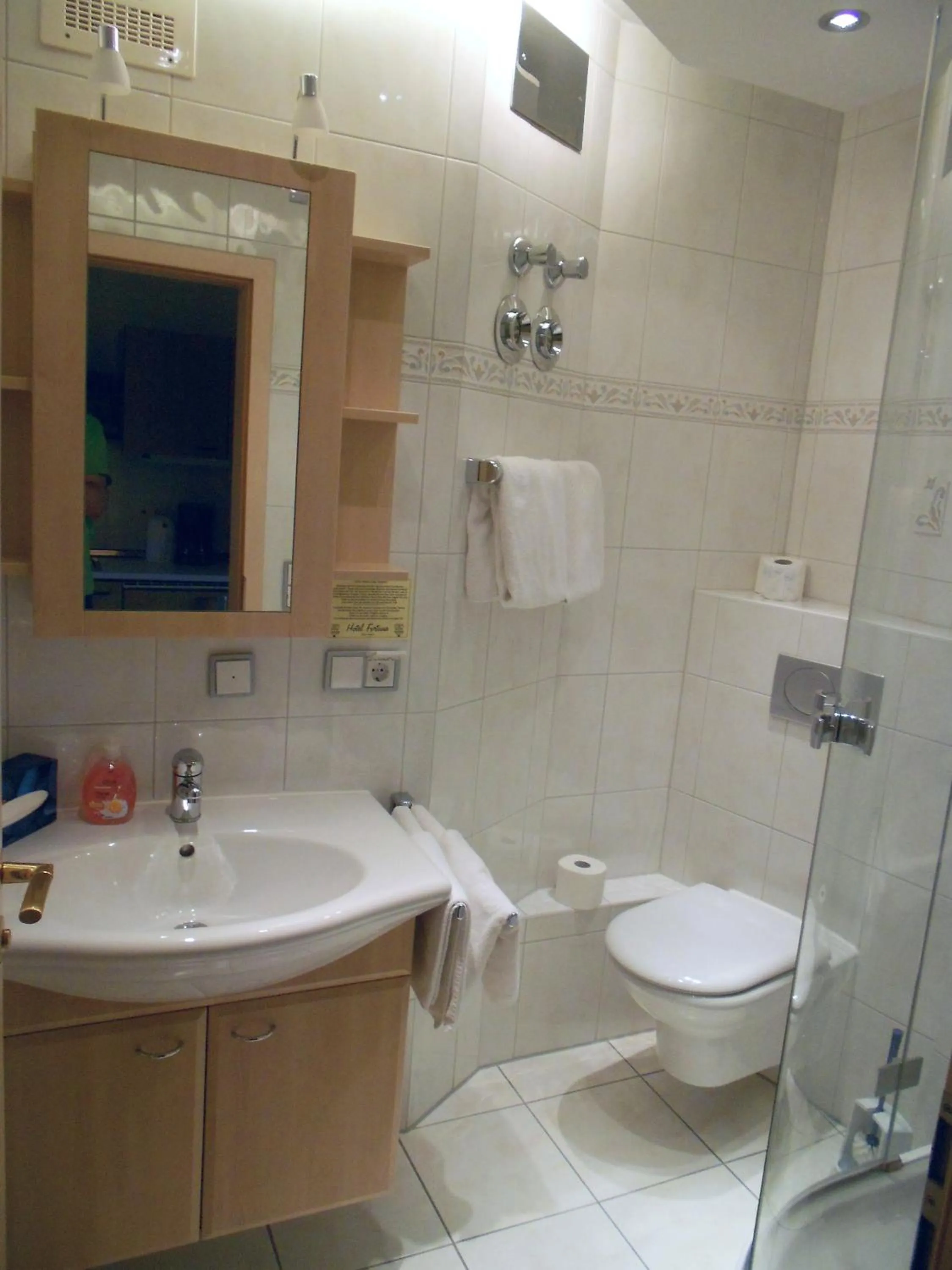 Shower in Hotel Fortuna