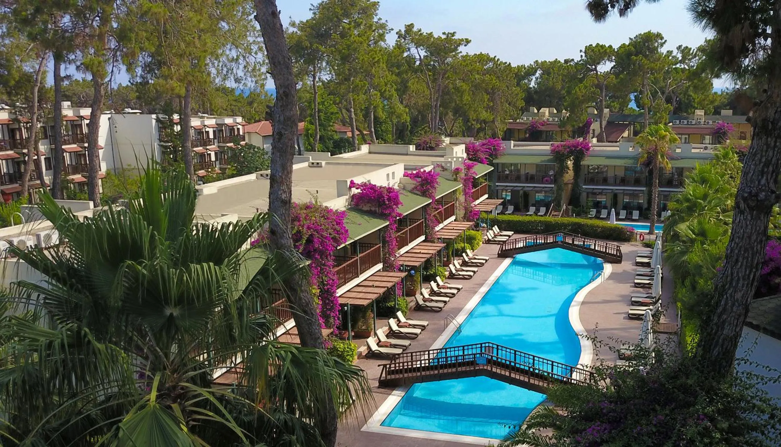 Garden in Turquoise Hotel