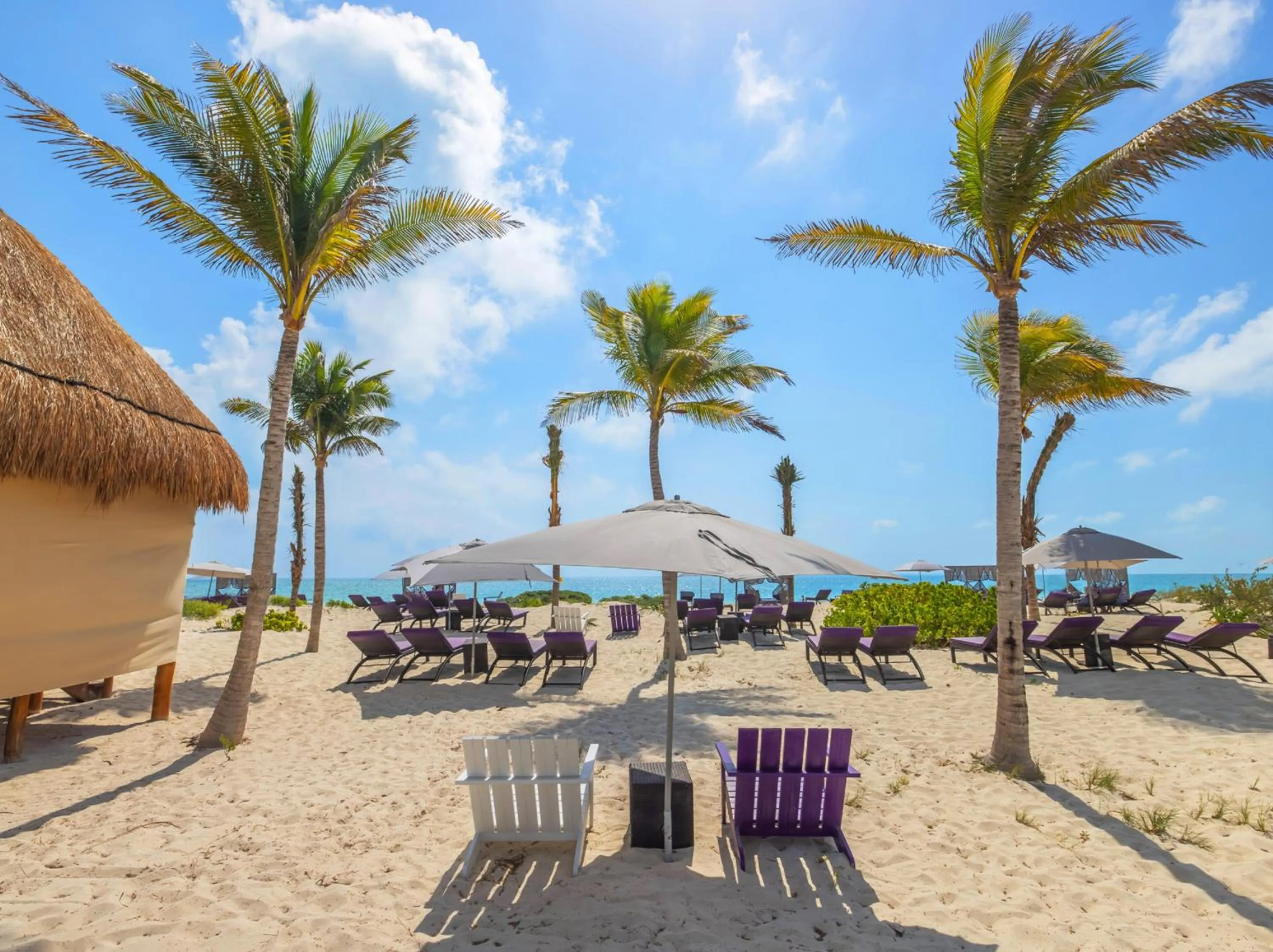 Beach in Planet Hollywood Cancun Adult Scene by Royalton, An Autograph Collection All-Inclusive Resort - Adults Only