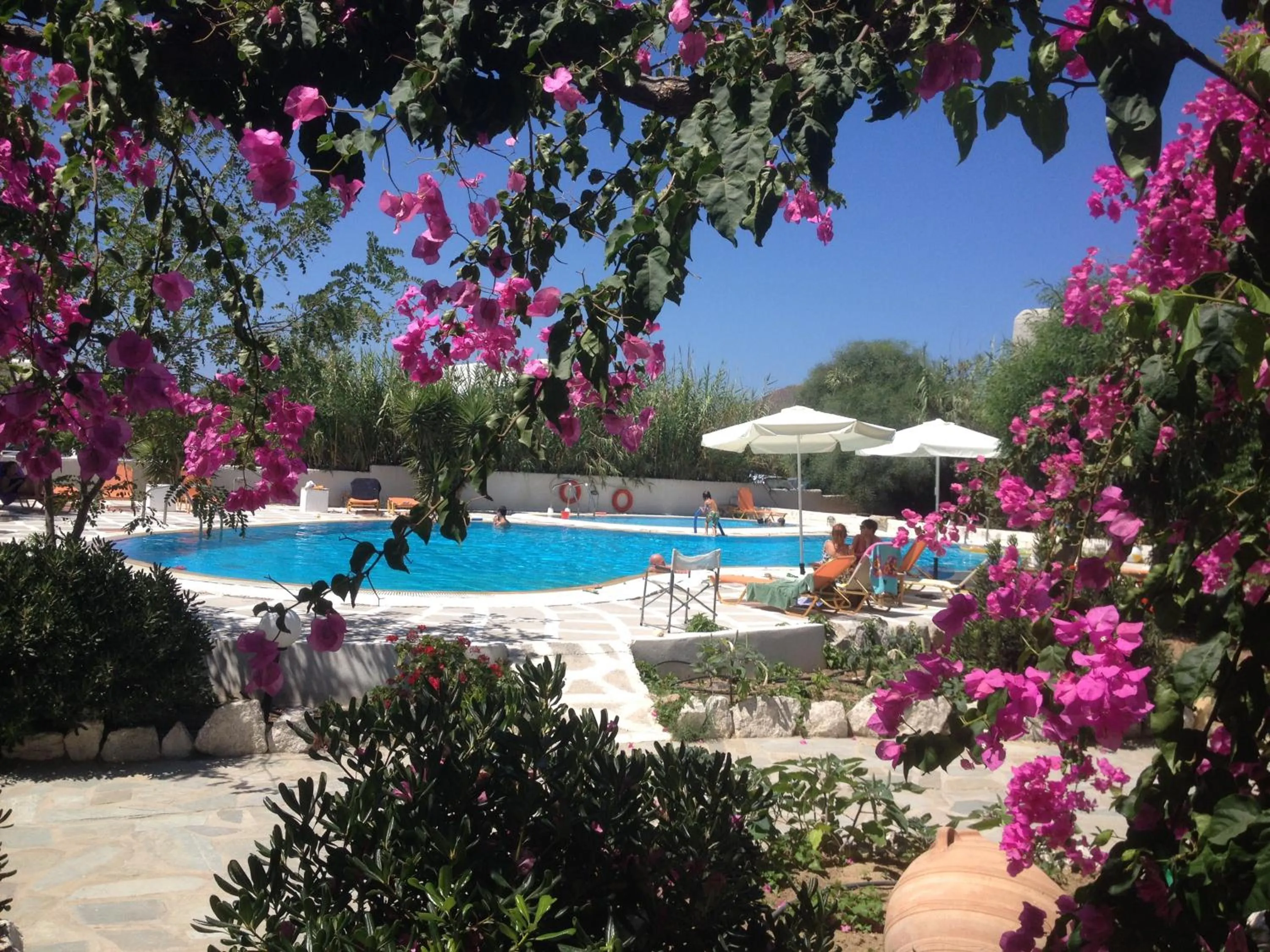 Garden in Something Else