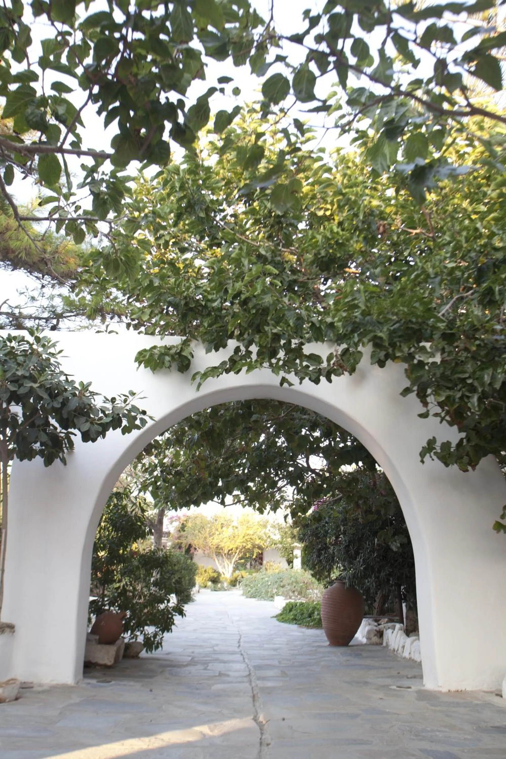 Garden in Something Else