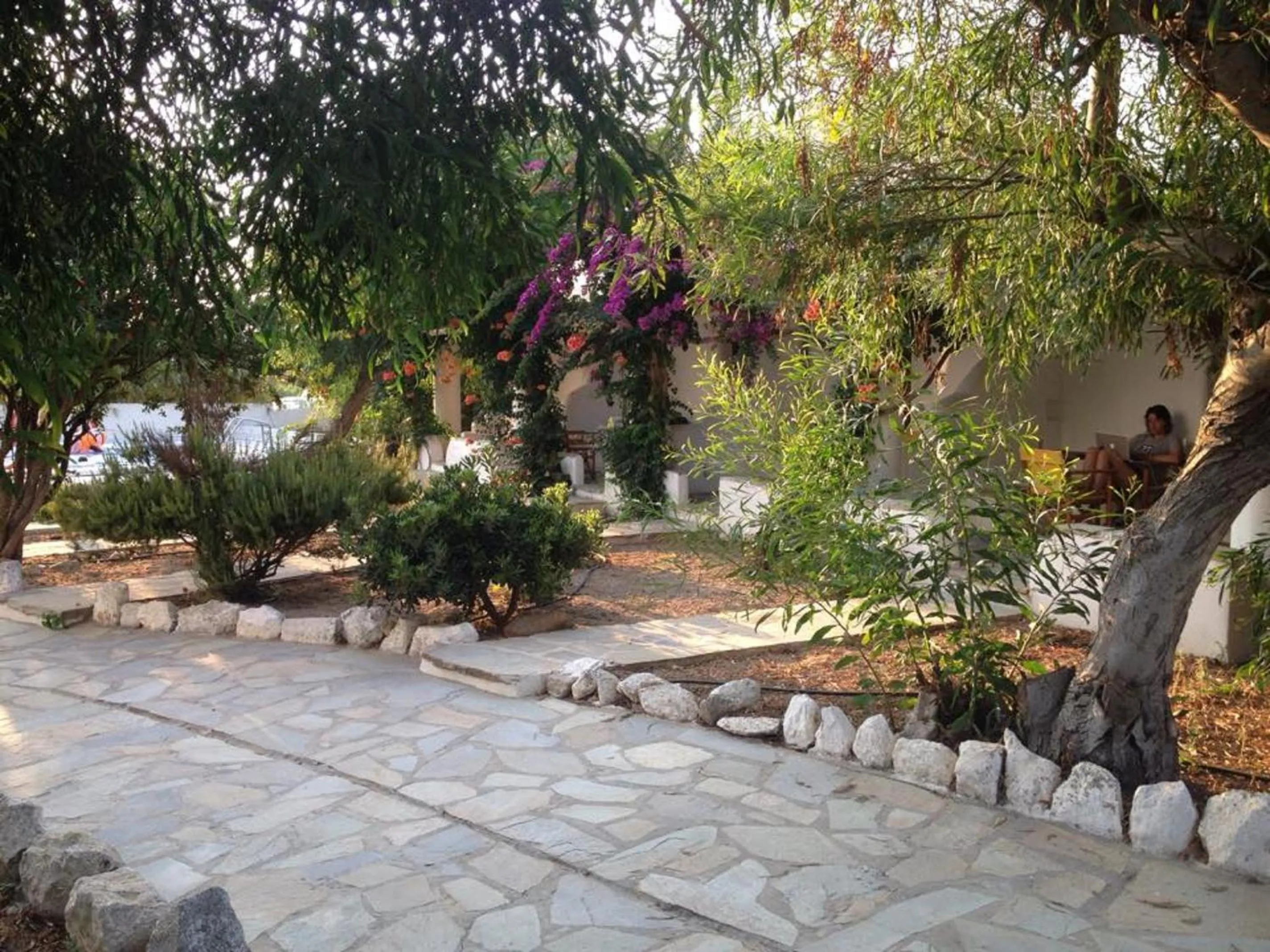 Garden in Something Else