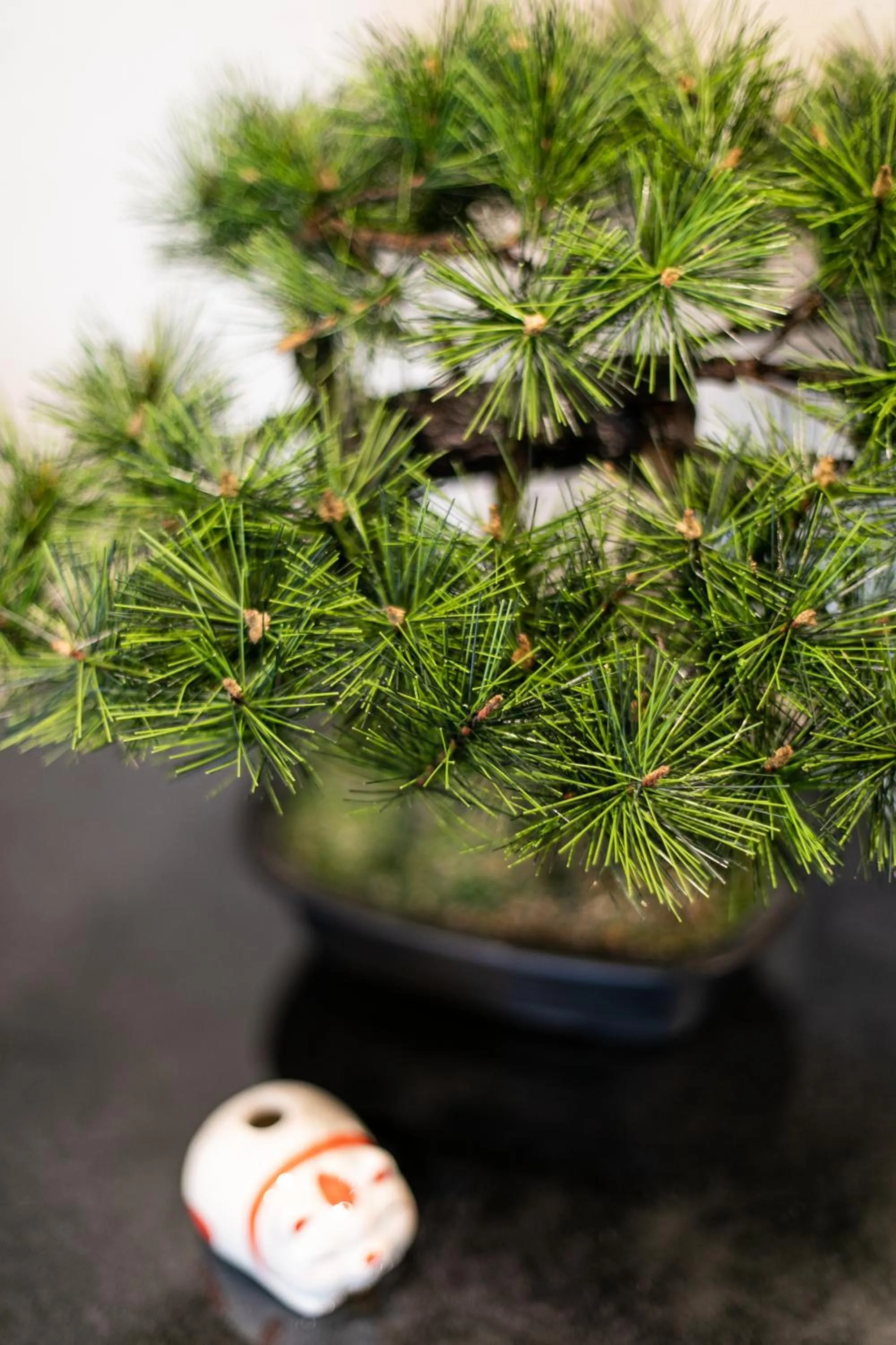 Lobby or reception in Hostel Takeyado