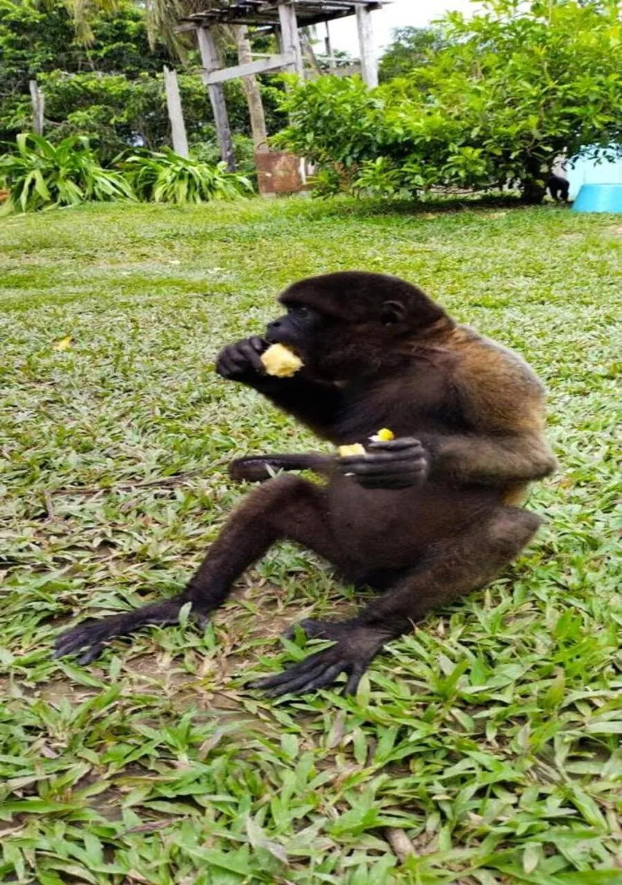 Nearby landmark in Hotel Yurupary AMAZONAS