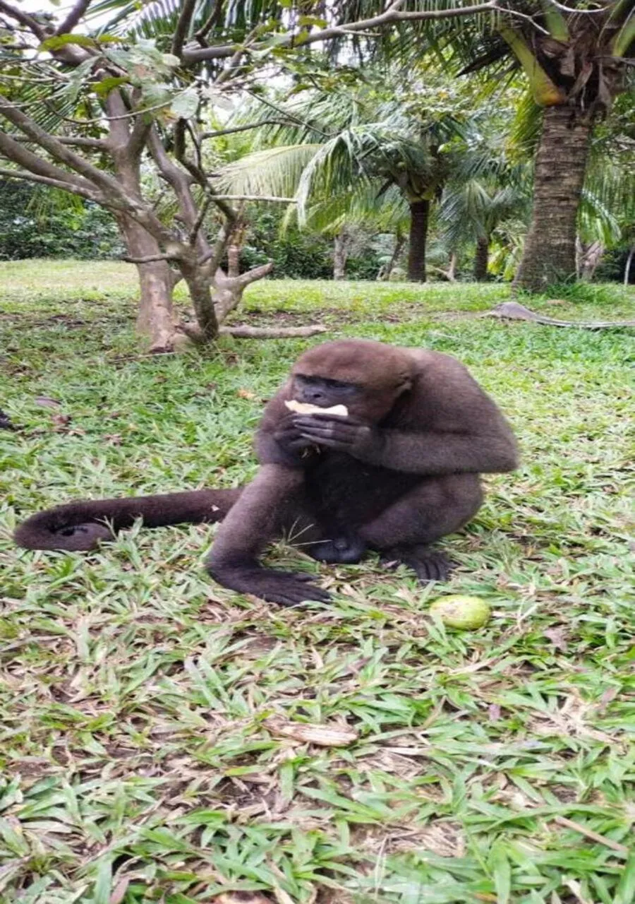 Nearby landmark in Hotel Yurupary AMAZONAS