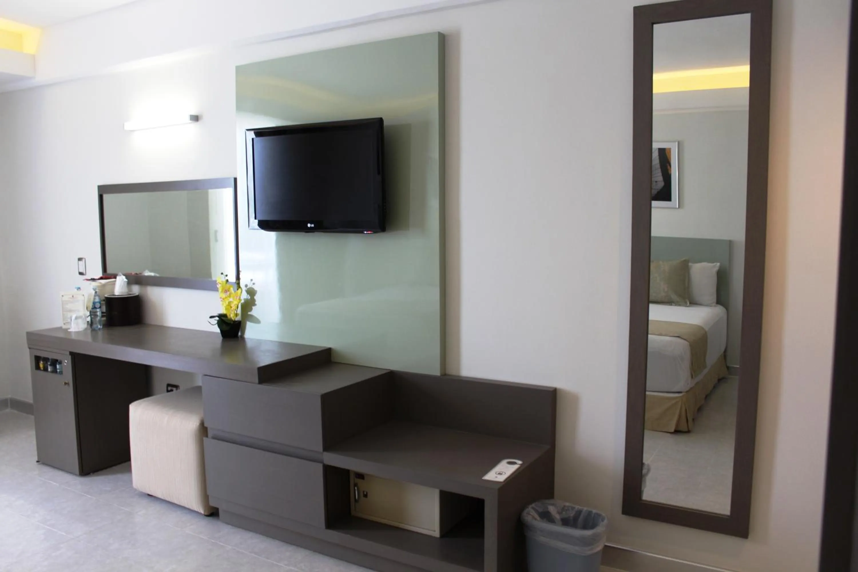 TV and multimedia in Hotel El Conquistador del Paseo de Montejo