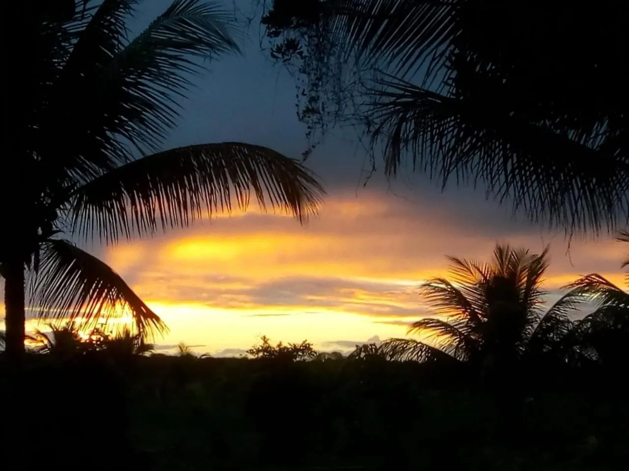 Natural landscape in Fazenda Eco-Jardim