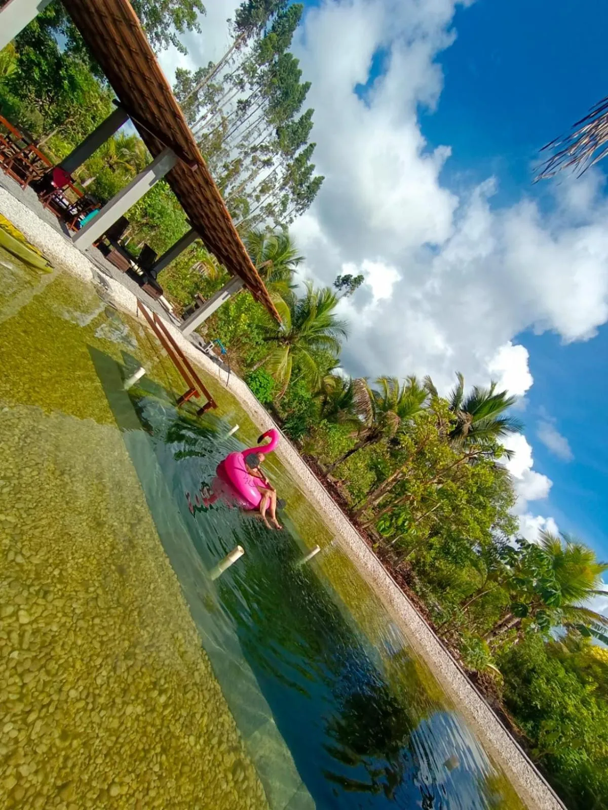Swimming pool in Fazenda Eco-Jardim