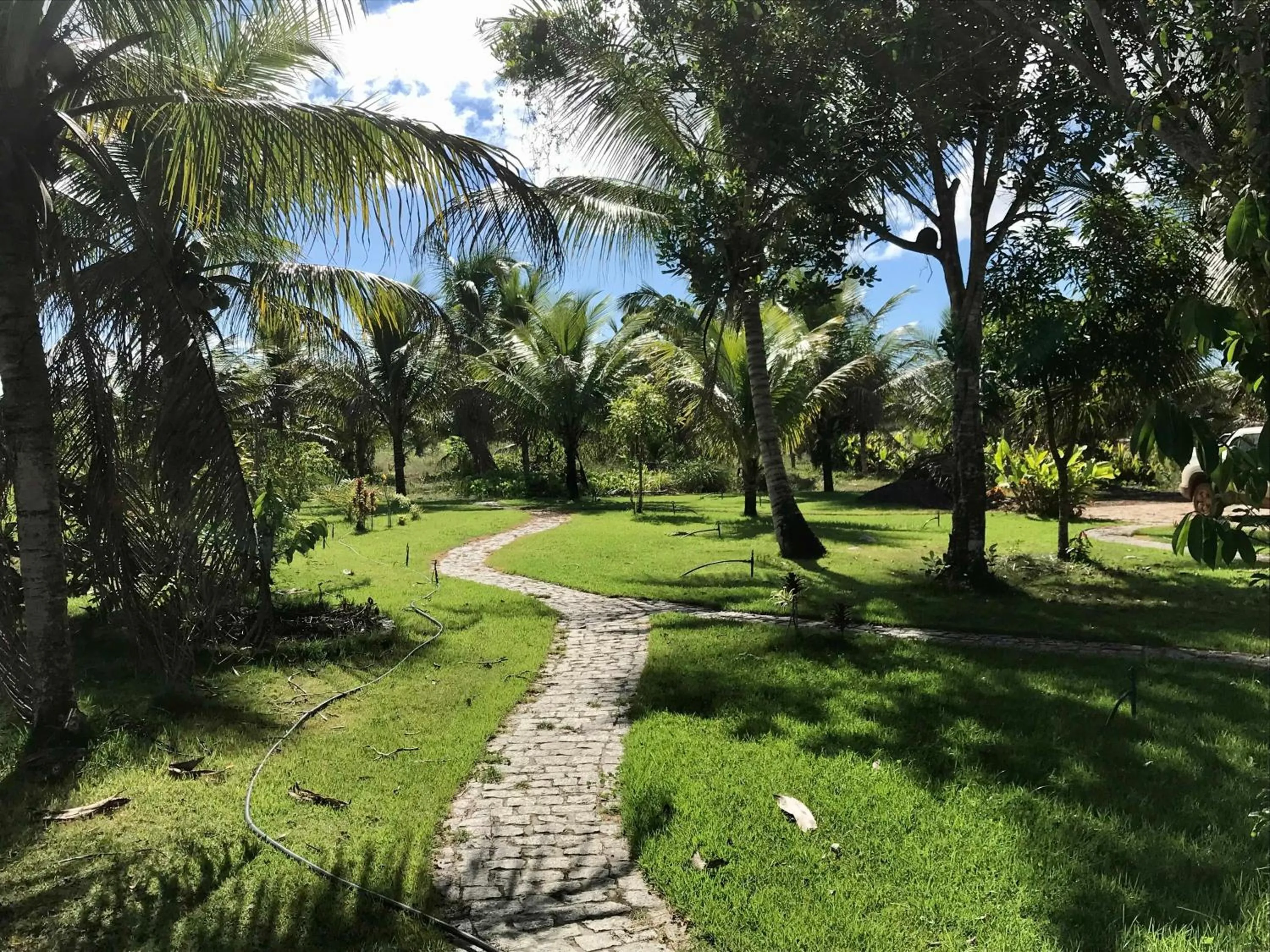 Garden in Fazenda Eco-Jardim