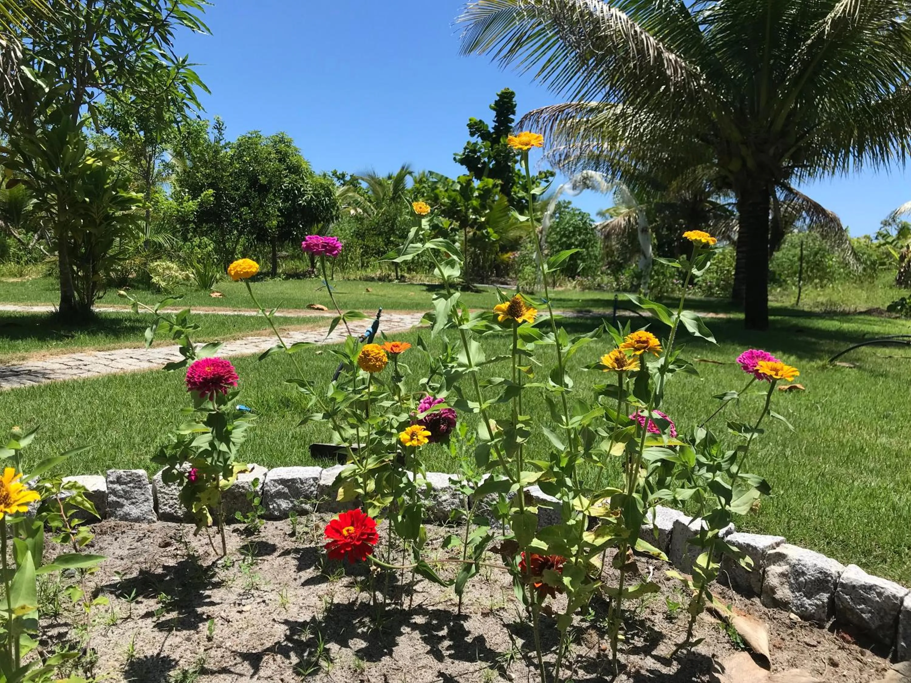 Garden in Fazenda Eco-Jardim