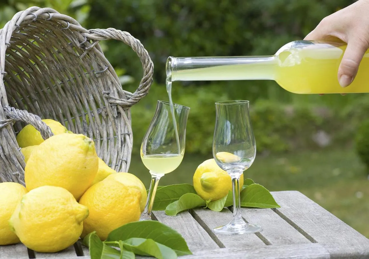 Alcoholic drinks in Fazenda Eco-Jardim