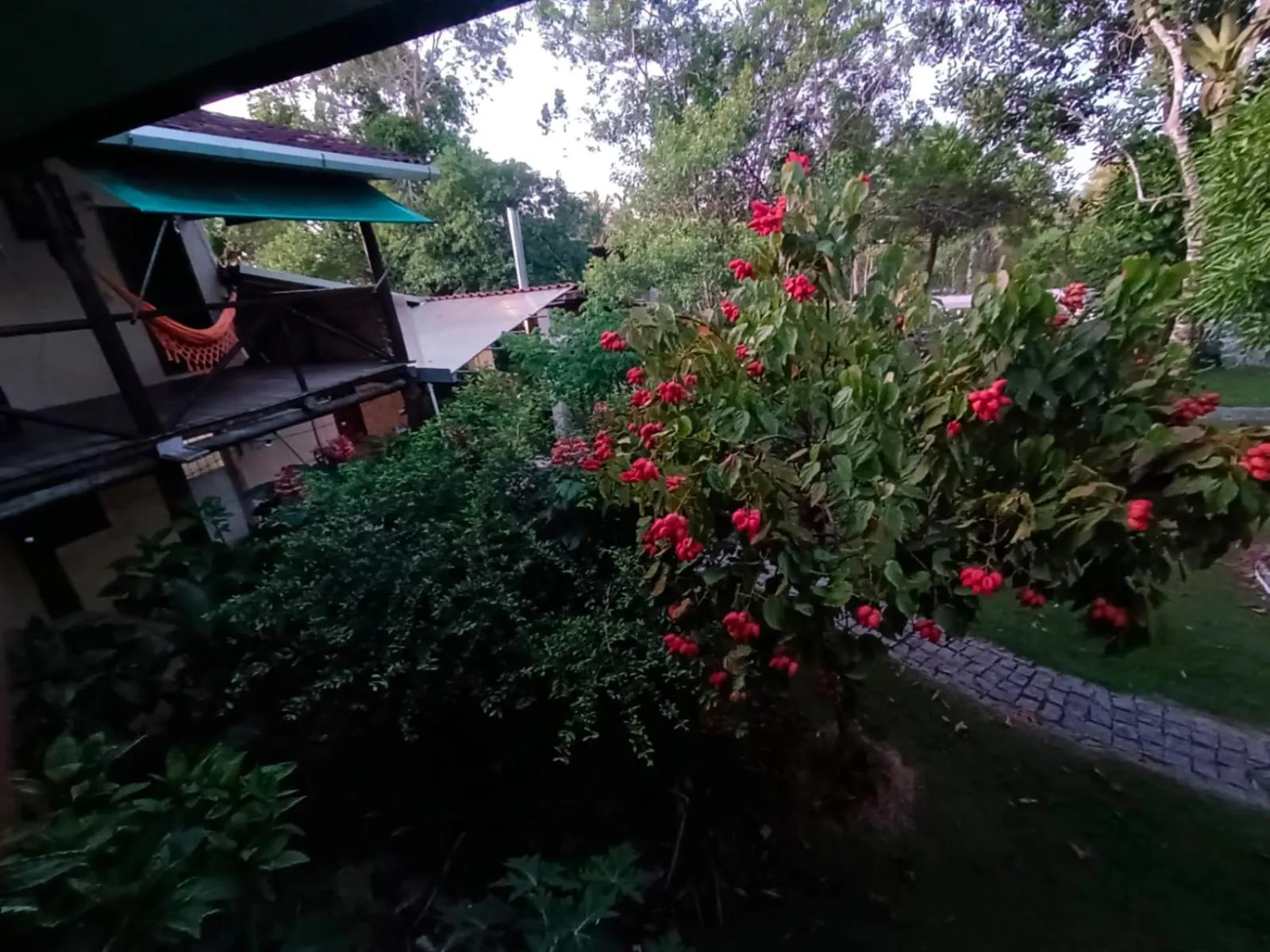 Garden in Fazenda Eco-Jardim
