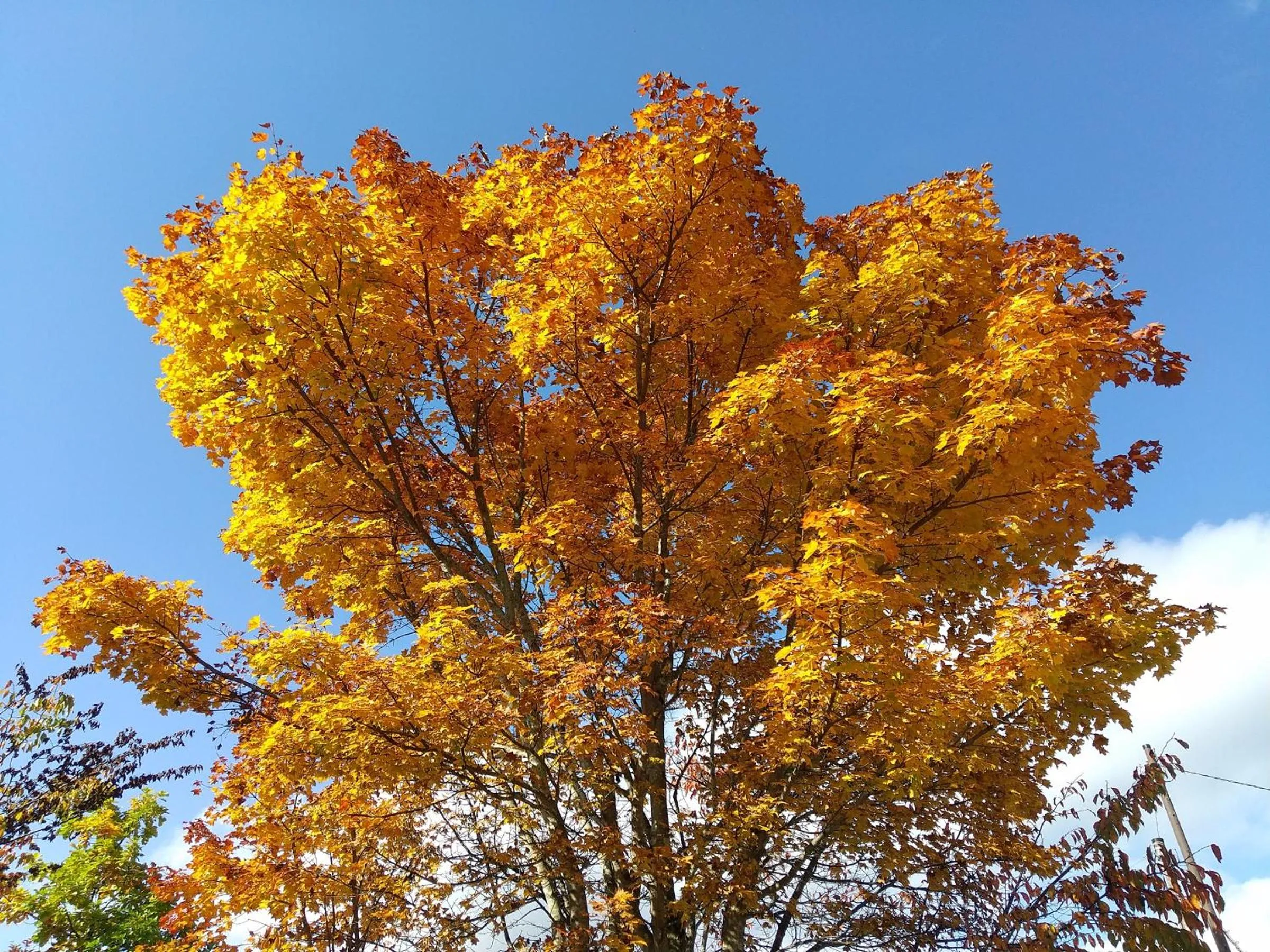 Natural landscape in Nikko Sansui