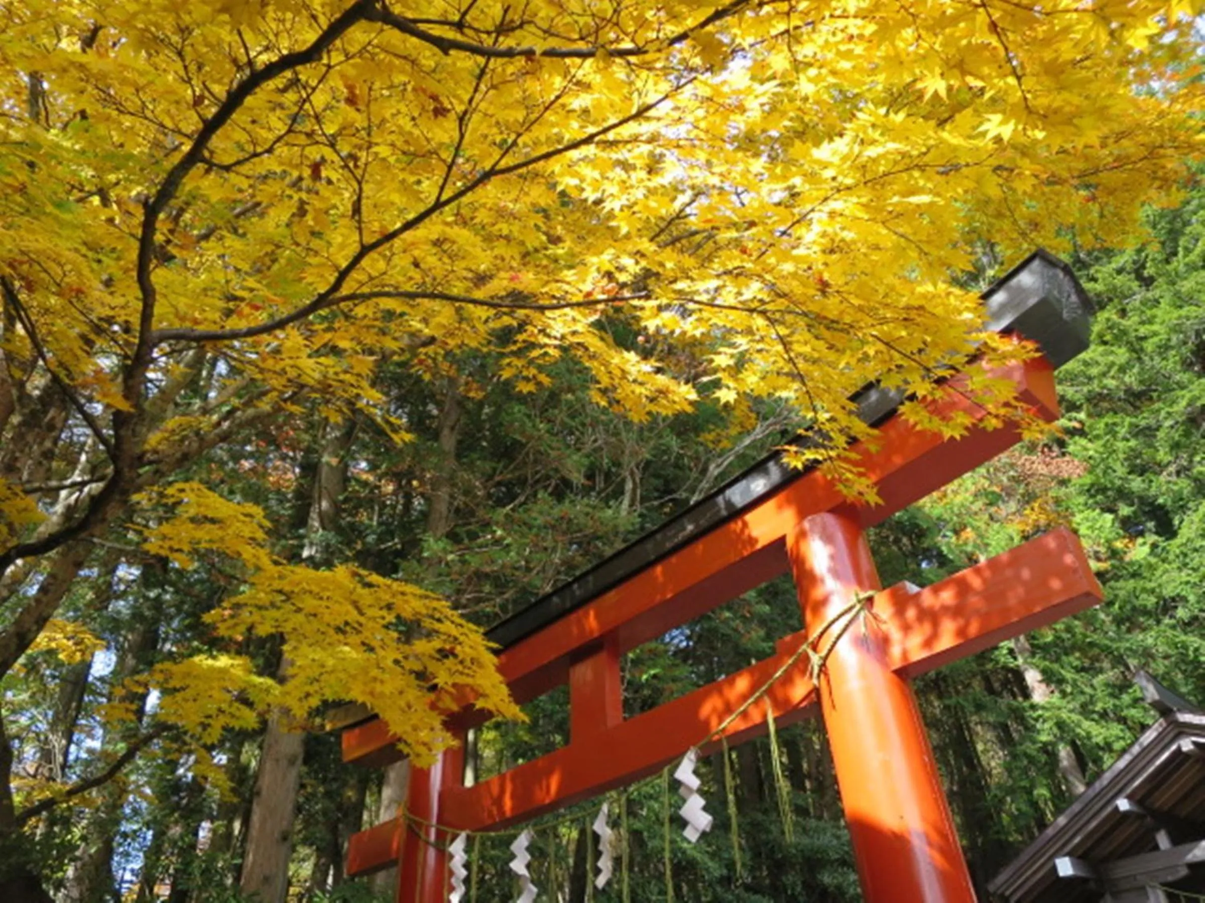 Other in Nikko Sansui