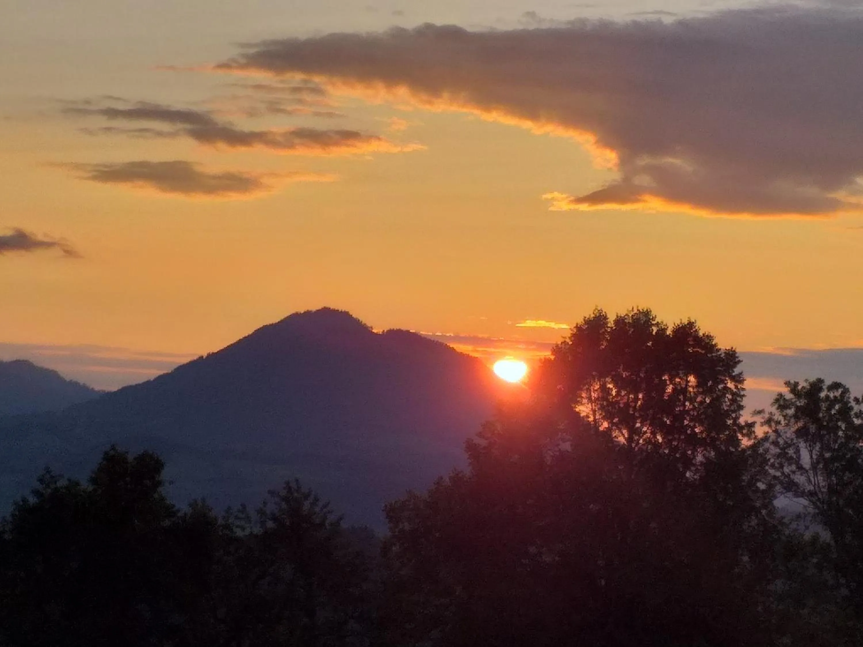 View (from property/room) in Landhotel Oberwengerhof