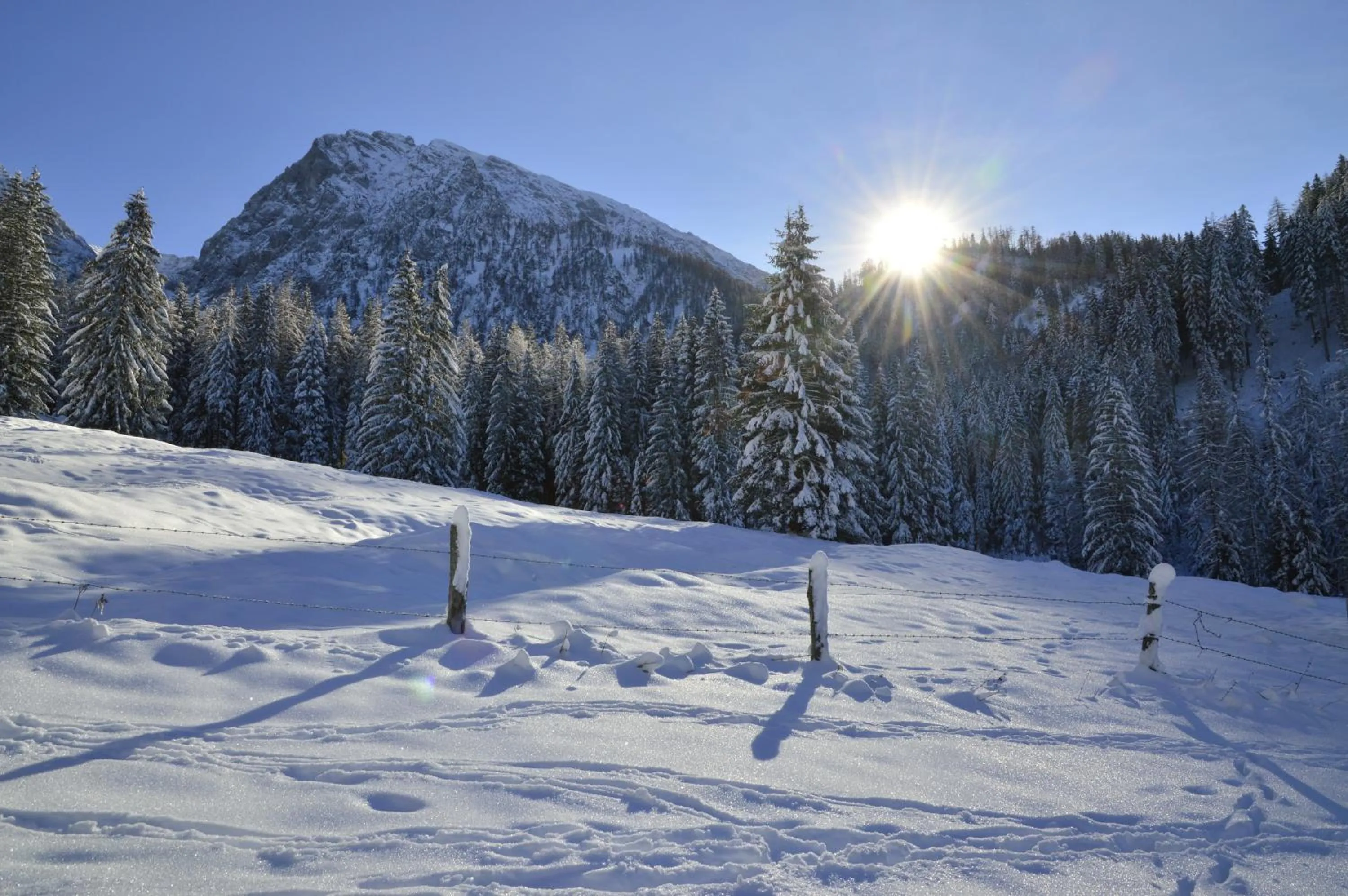 Winter in Landhotel Oberwengerhof
