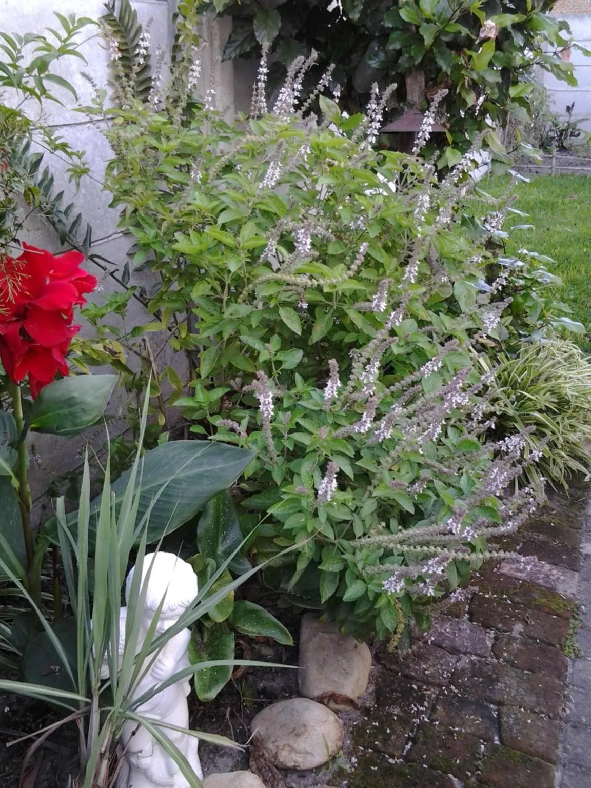 Garden in Forestview guesthouse and B&B