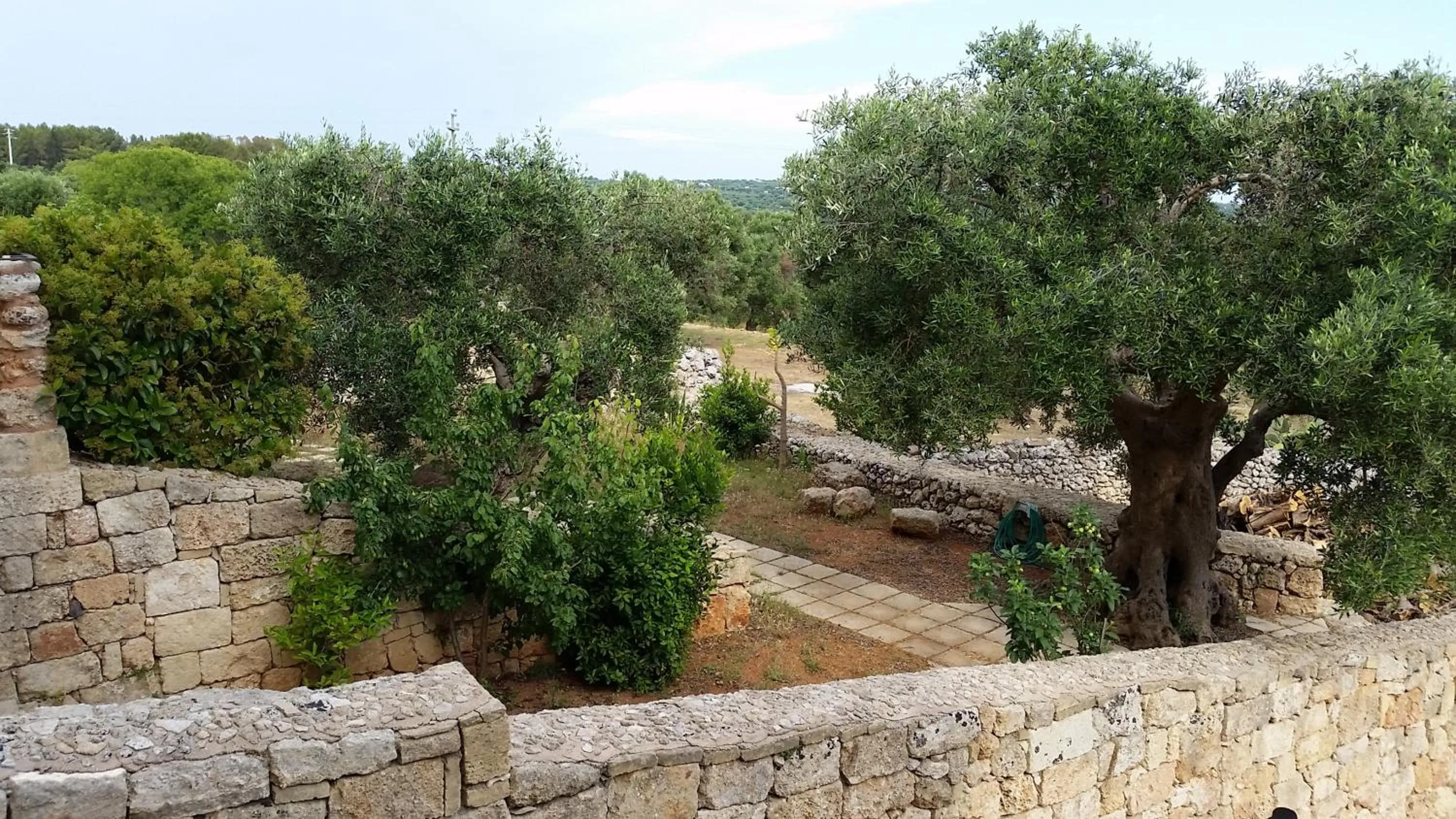 Day in Masseria Ruri Pulcra