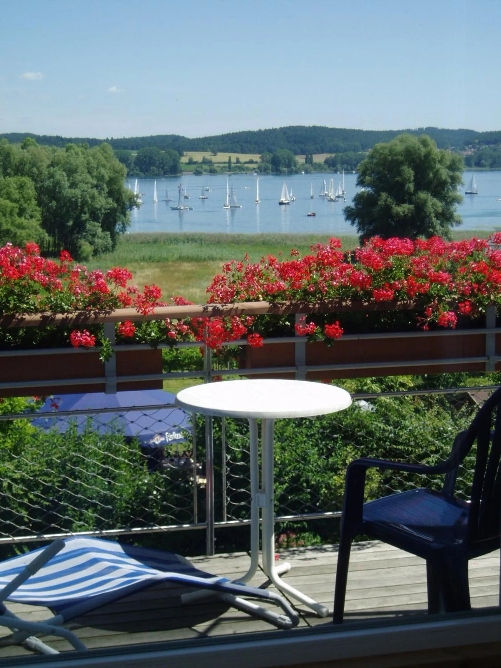 Balcony/Terrace in Insel-Hof Reichenau Hotel-garni