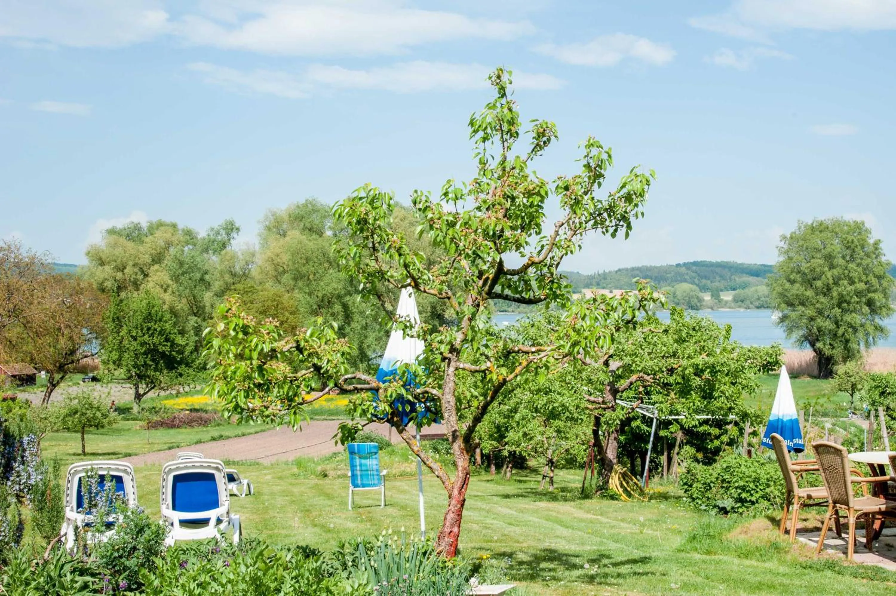 Garden in Insel-Hof Reichenau Hotel-garni