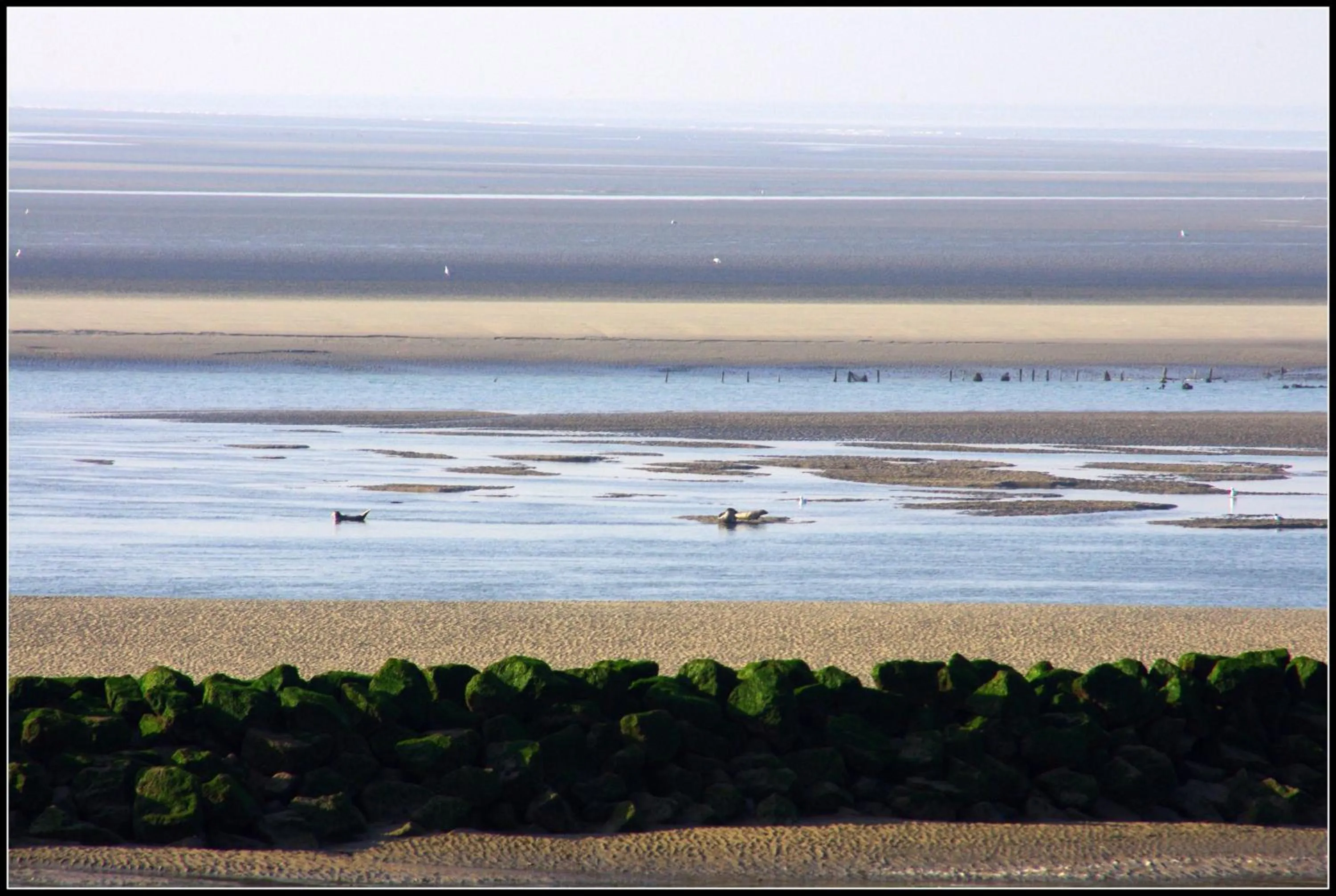 Beach in Logis Hôtel & Restaurant "Au Gré du Vent"