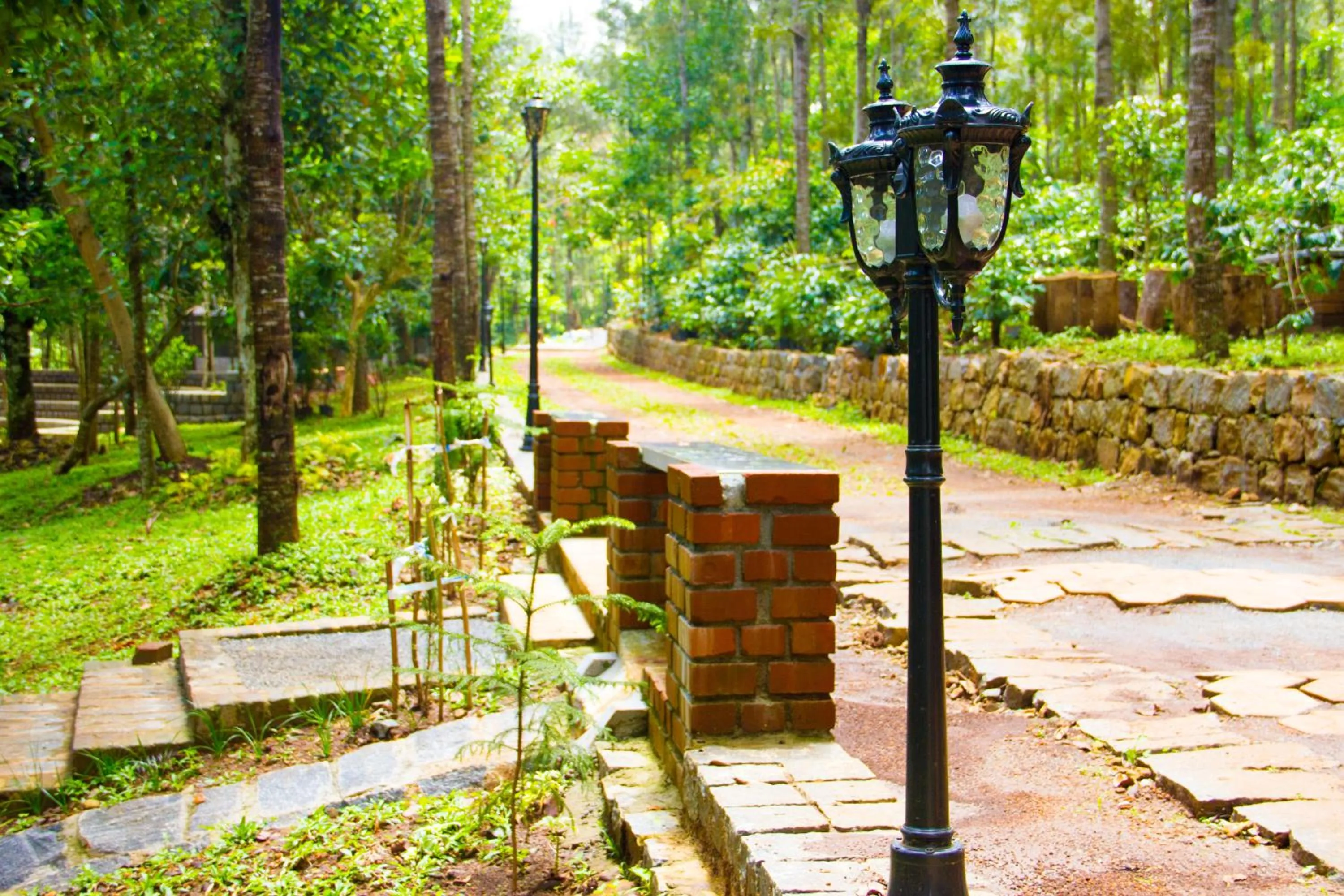 Natural landscape in Mainland Resorts & Spa by Kolaahalam