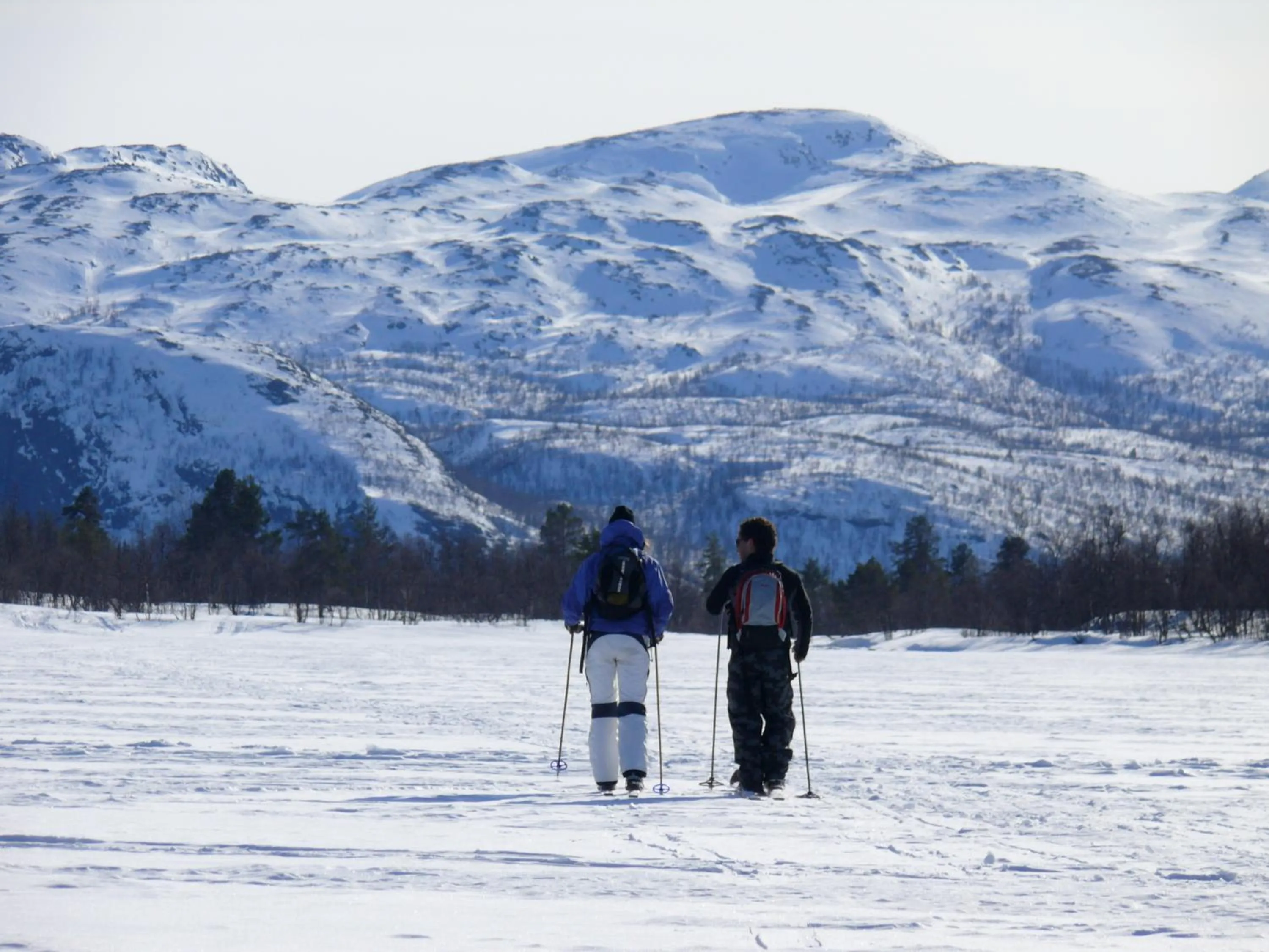 Skiing in Stora Björnstugan