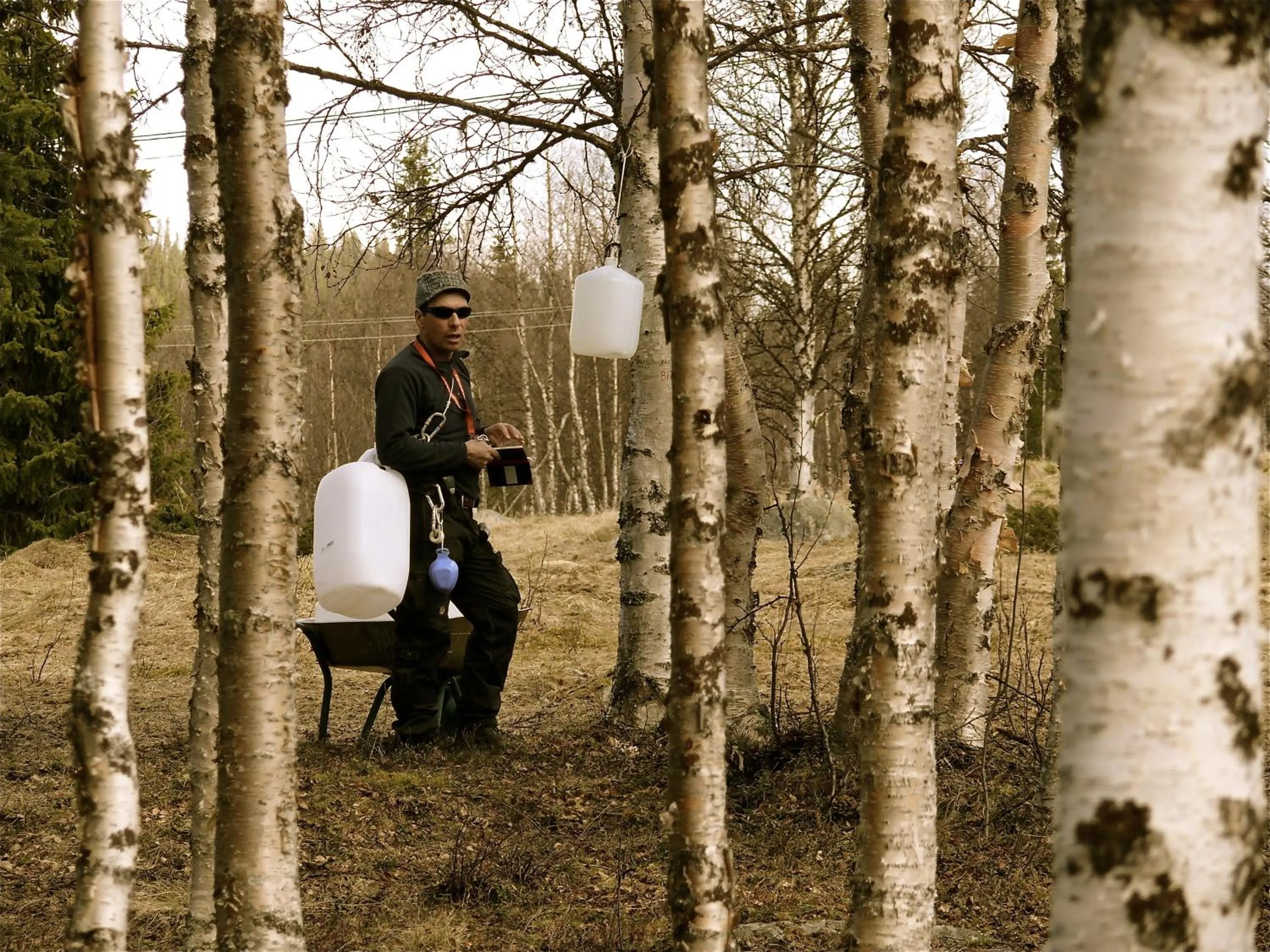 Activities in Stora Björnstugan