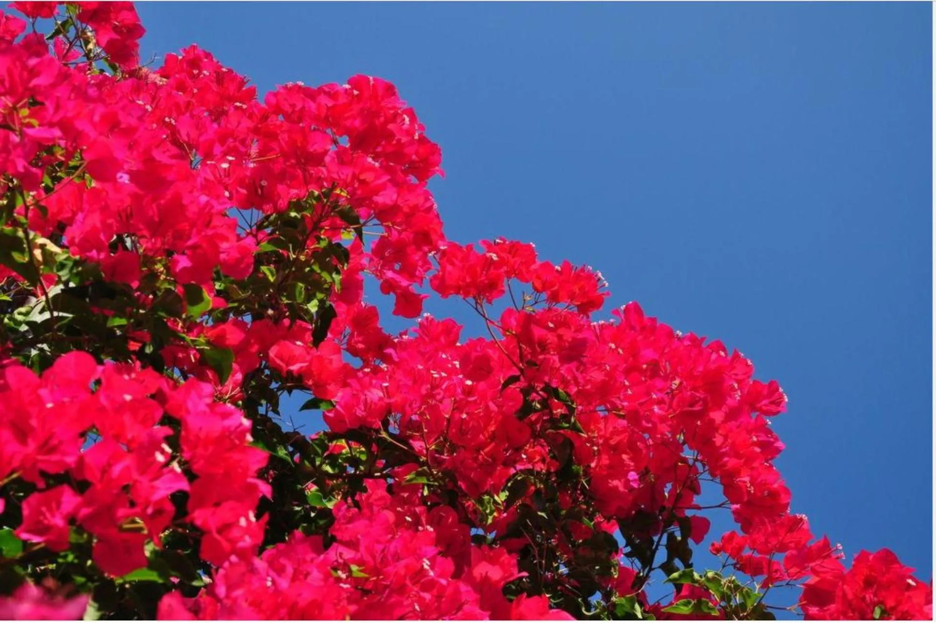 Natural landscape in Kefalonia Beach Hotel & Bungalows