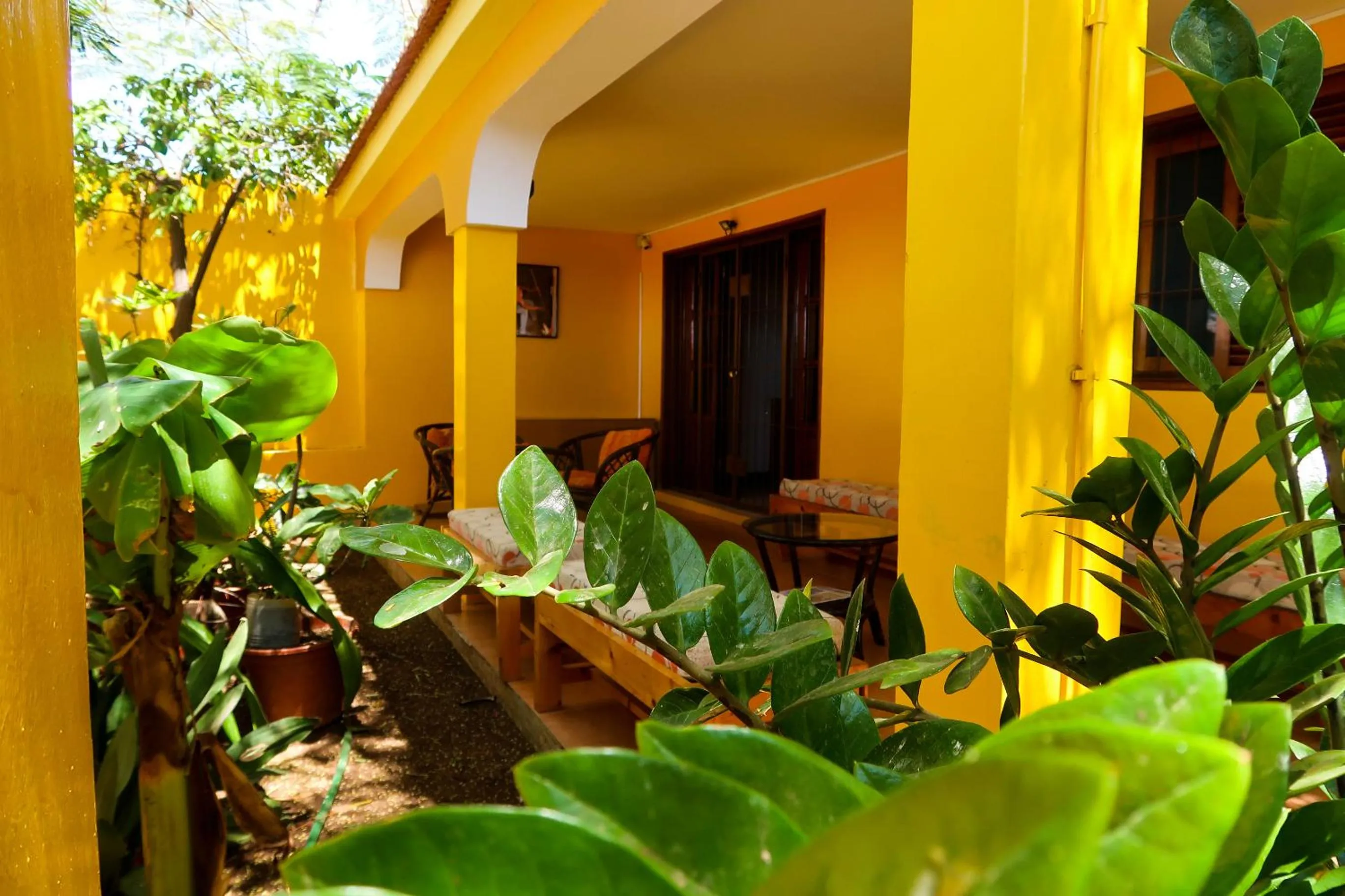 O Jardim do Vinho, AC