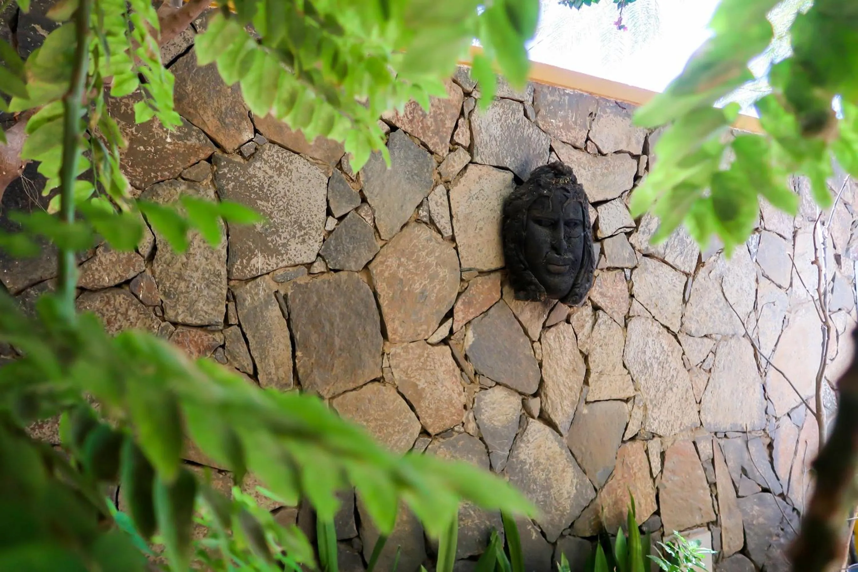 O Jardim do Vinho, AC