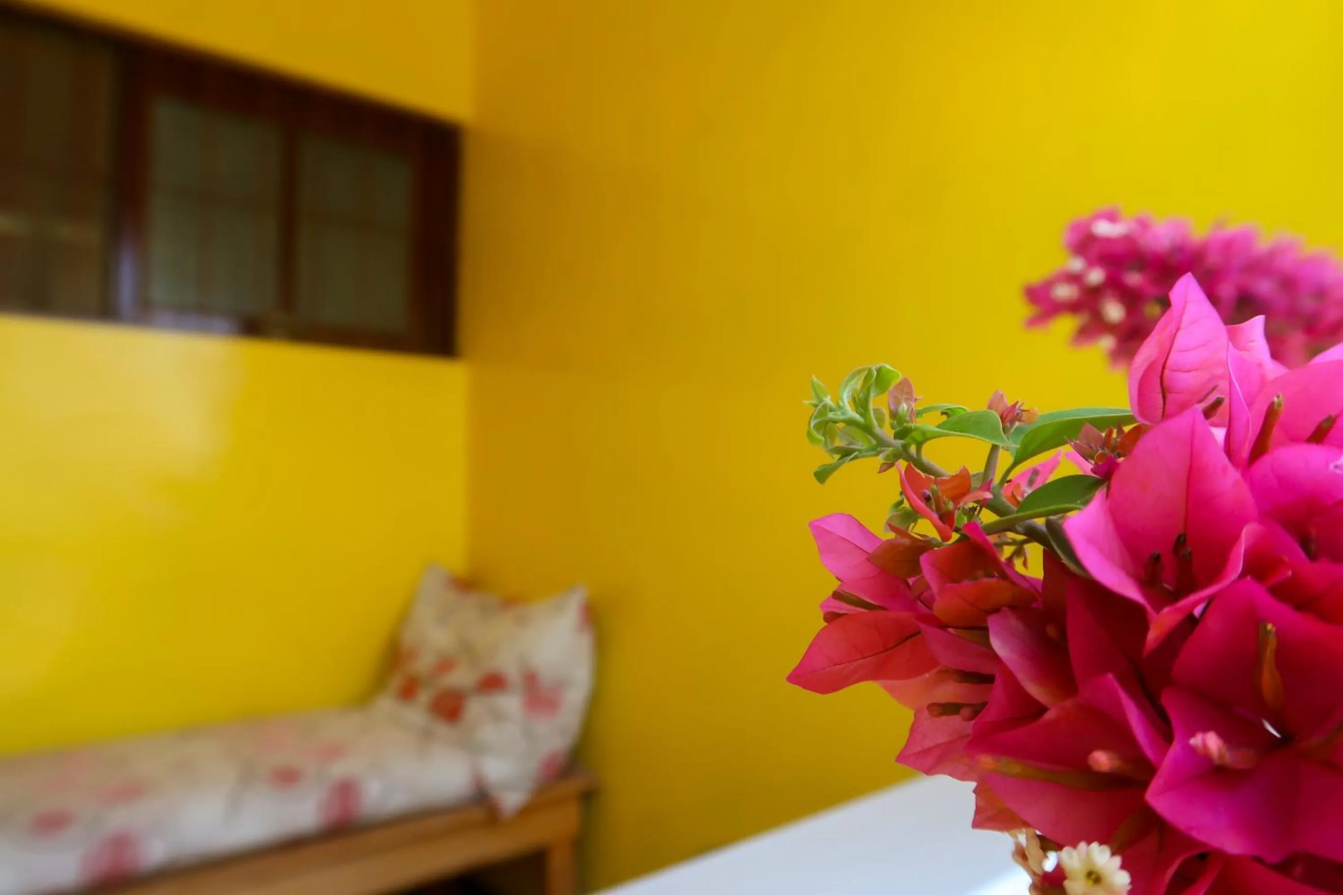 Bed in O Jardim do Vinho, AC