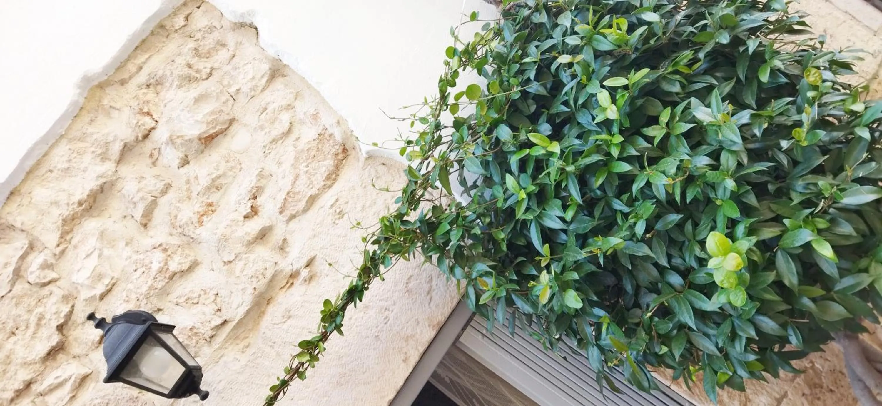 Property building in Dimora delle Badesse