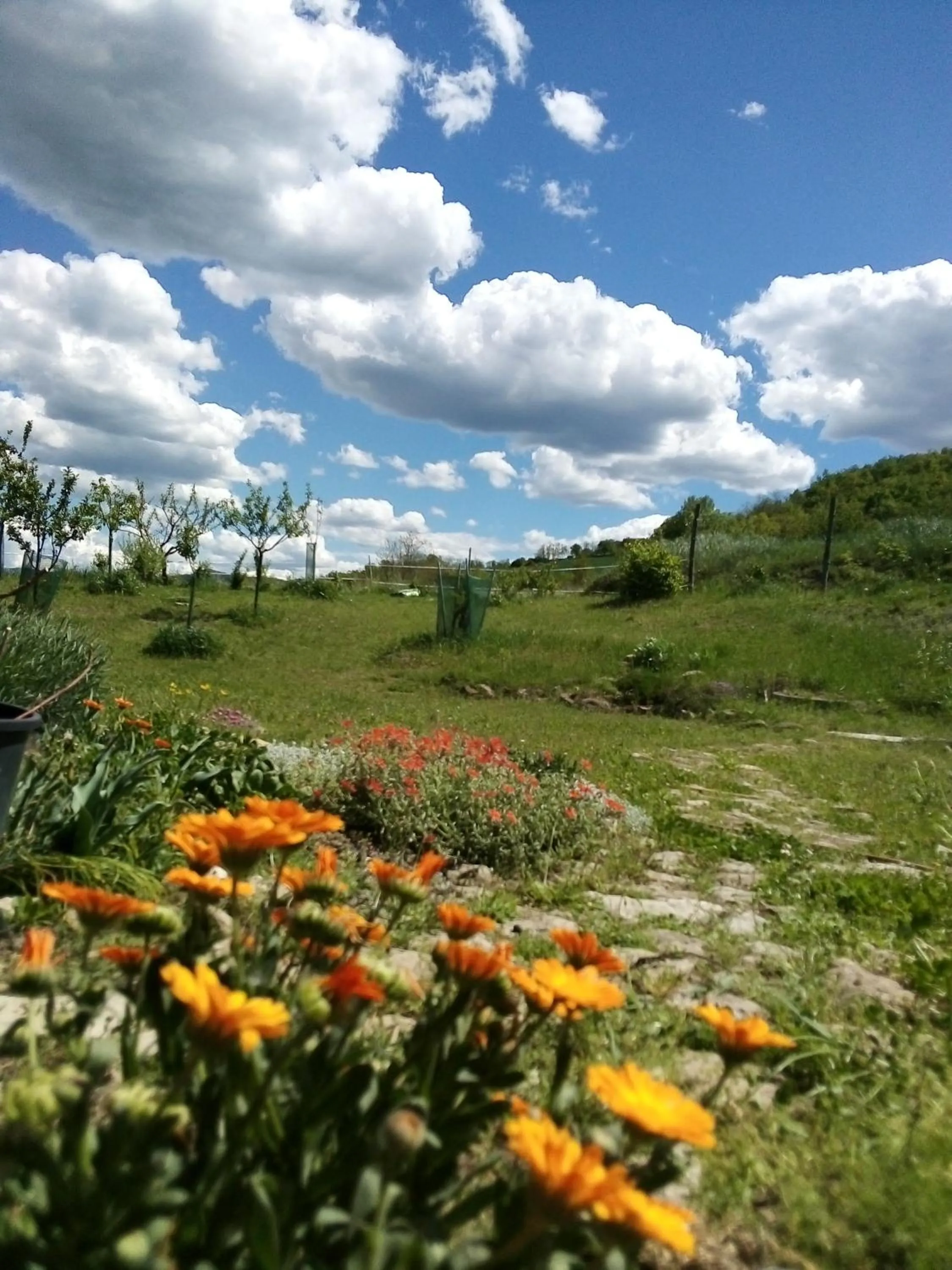 Garden in Timo e Rosmarino