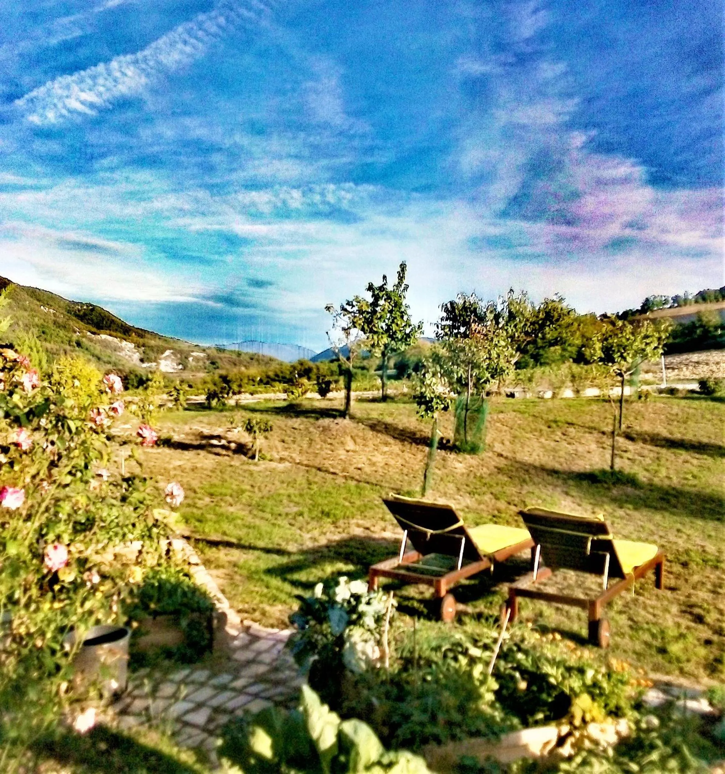 Garden in Timo e Rosmarino