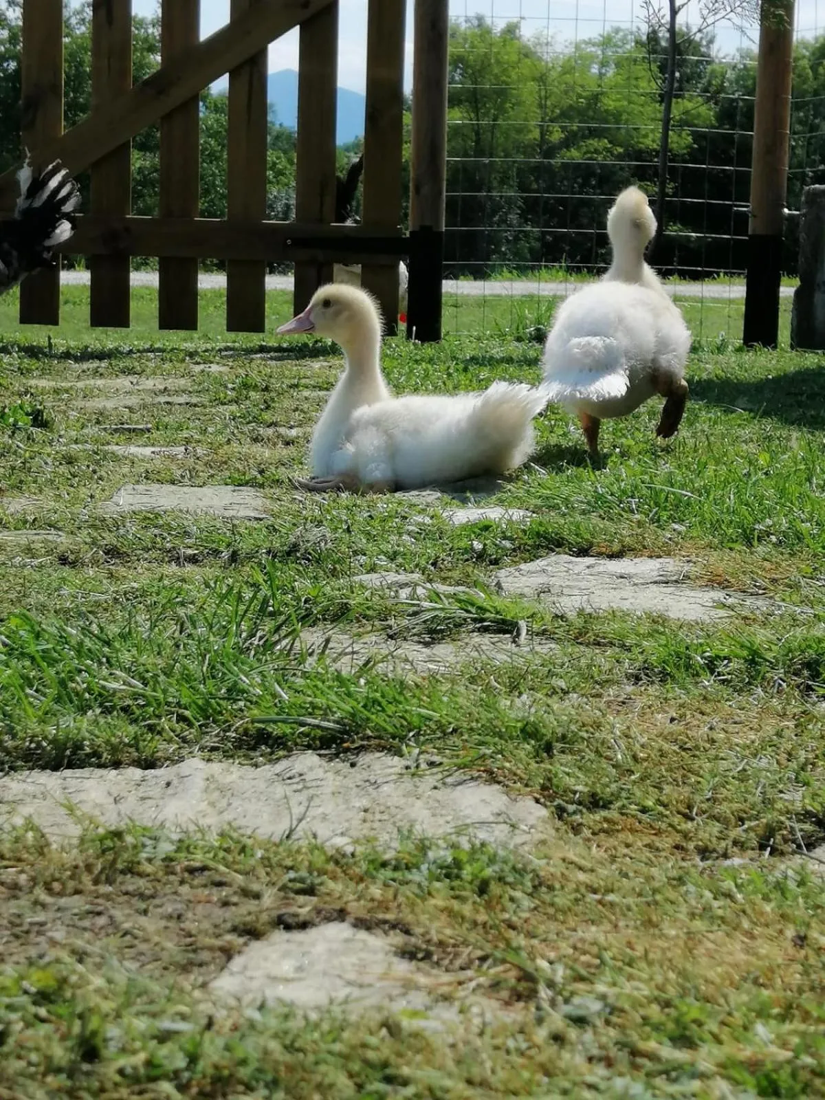 B&B La casa di Loretta