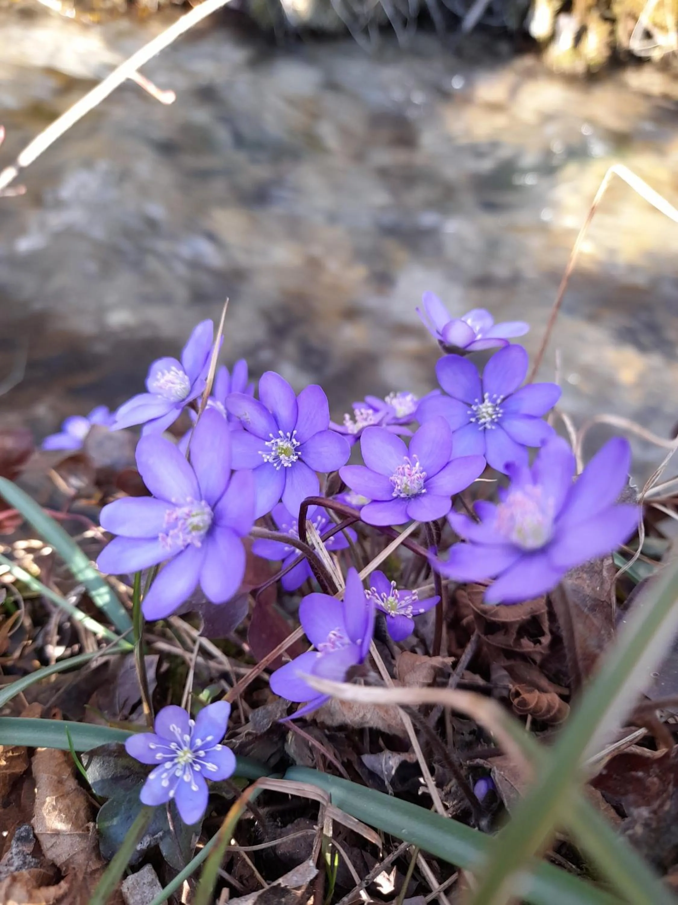 B&B La casa di Loretta