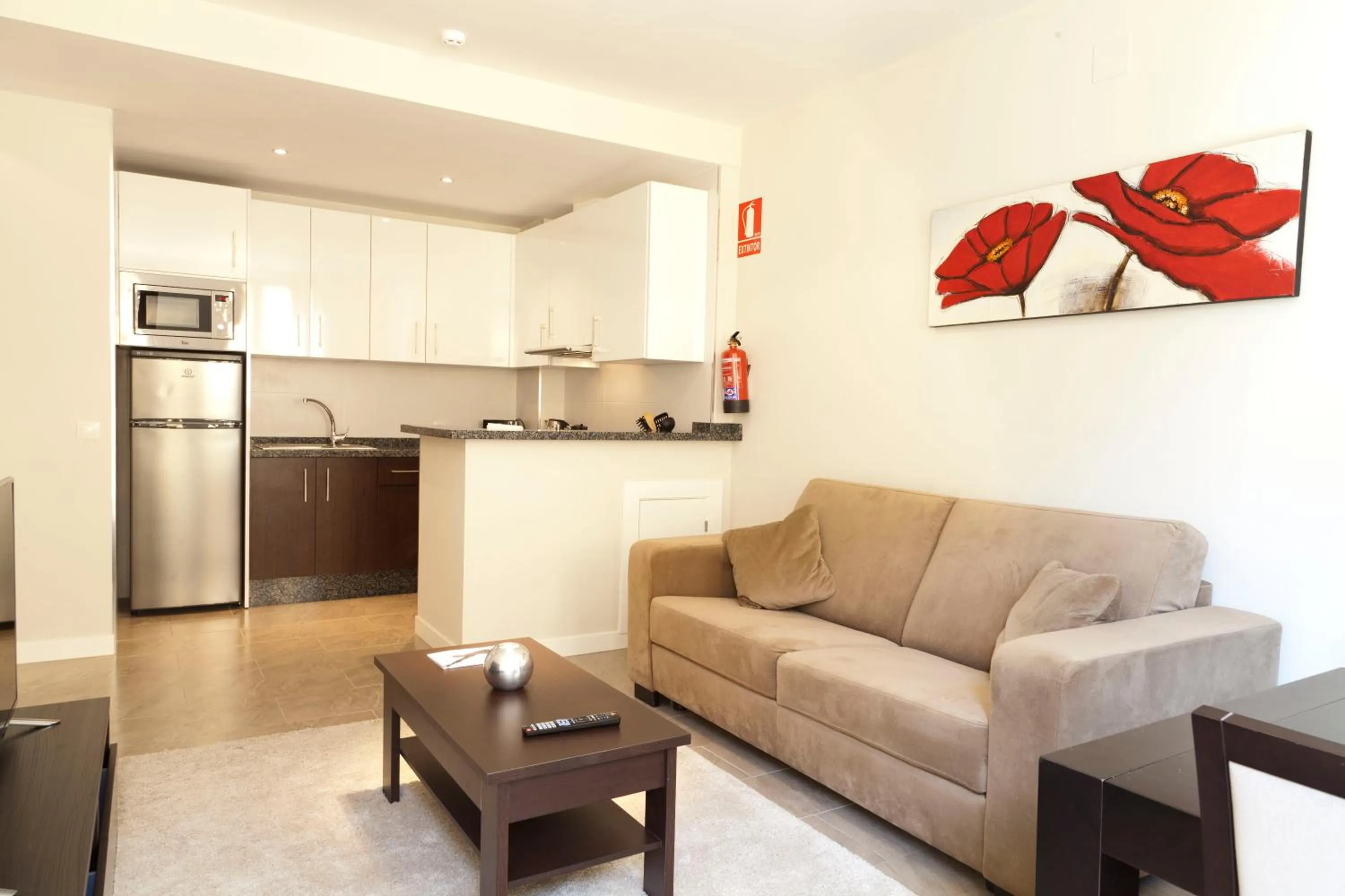 Kitchen or kitchenette in Apartamentos Pinar Malaga Centro