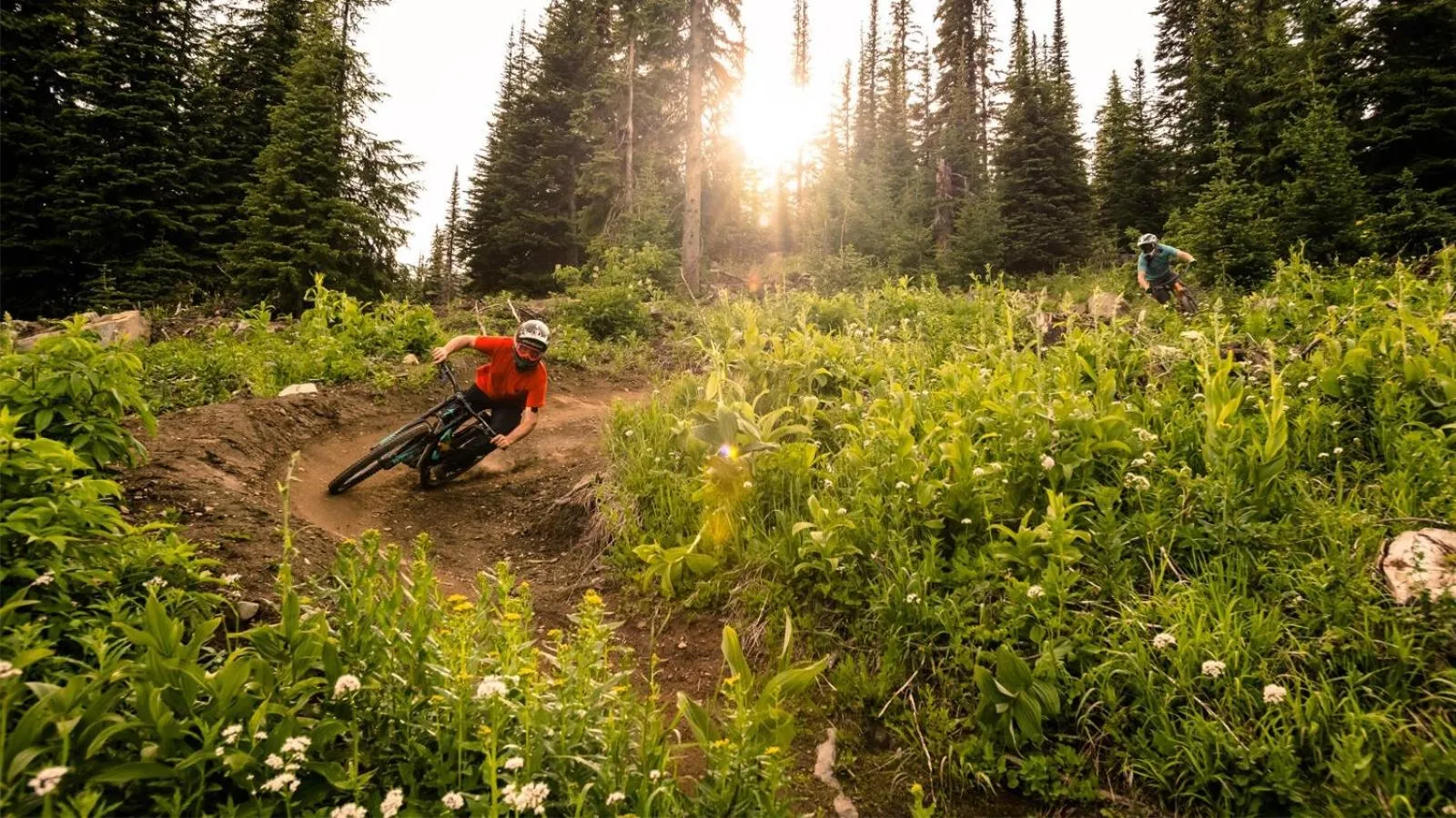 Crystal Forest #04 By Bear Country