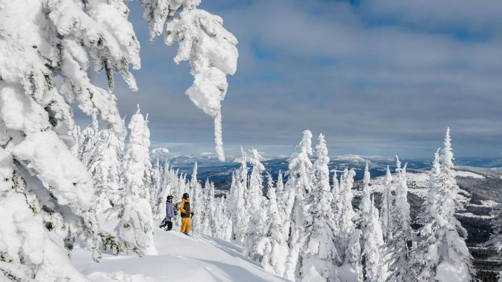 Crystal Forest #04 By Bear Country