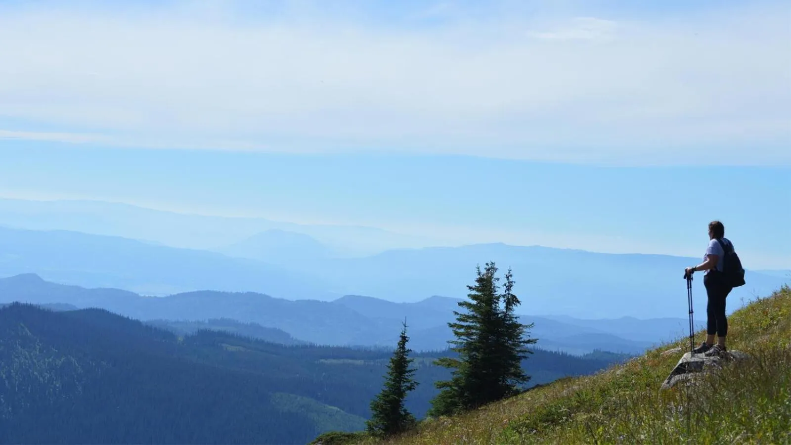 Crystal Forest #04 By Bear Country