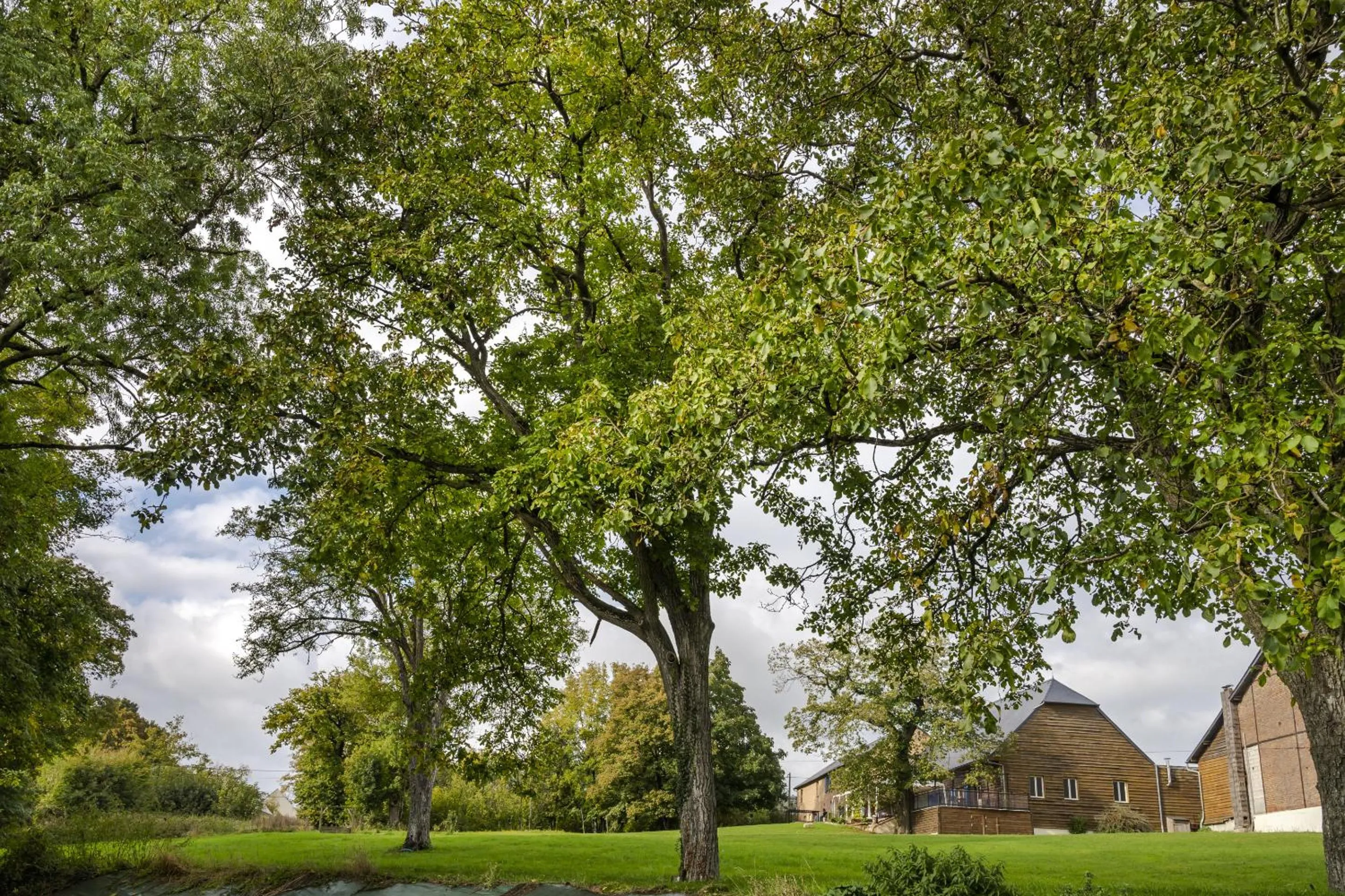 View (from property/room) in Les Lavandières de Fontaine