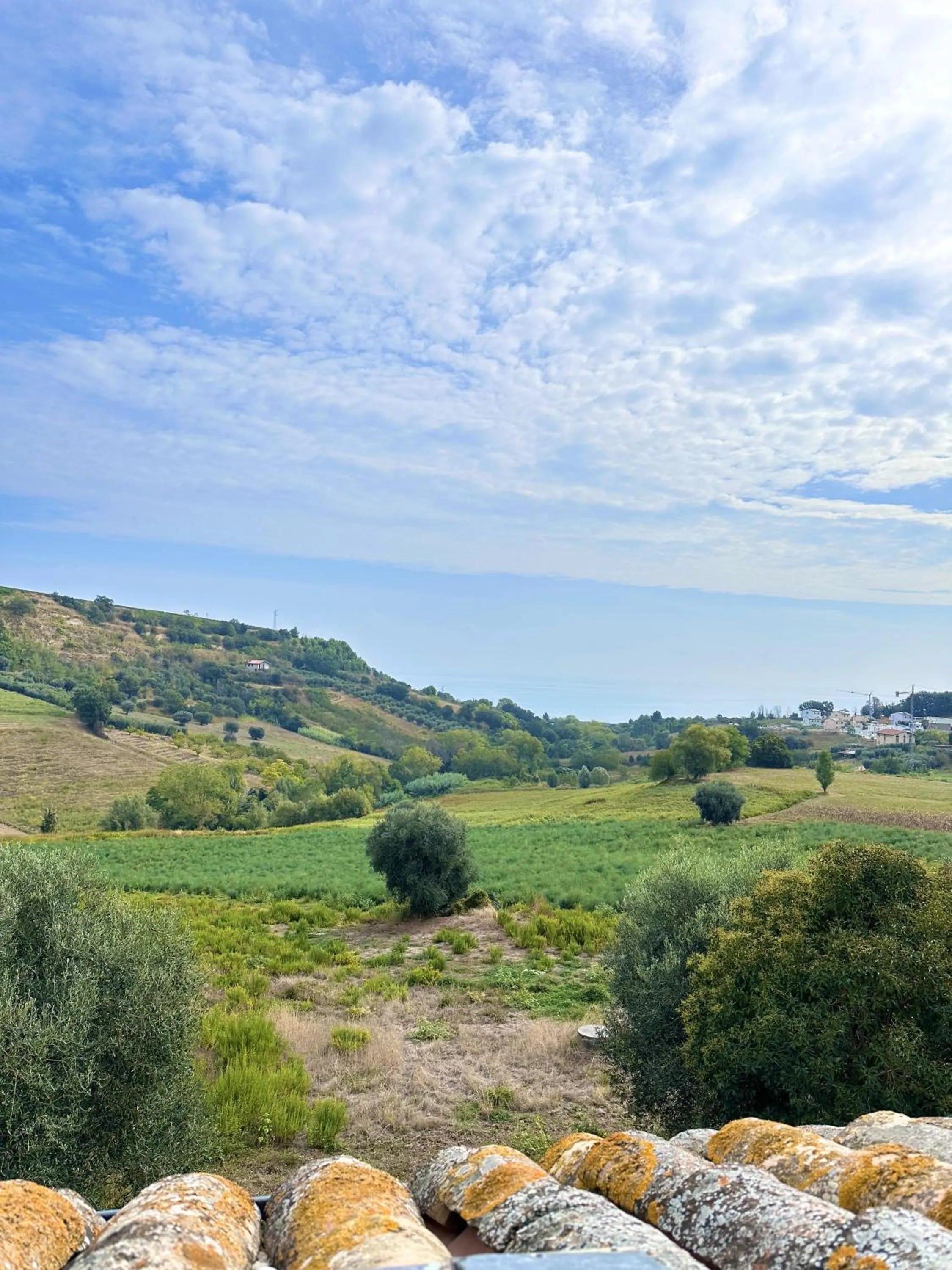 Garden view in Cumana Blu Apartments