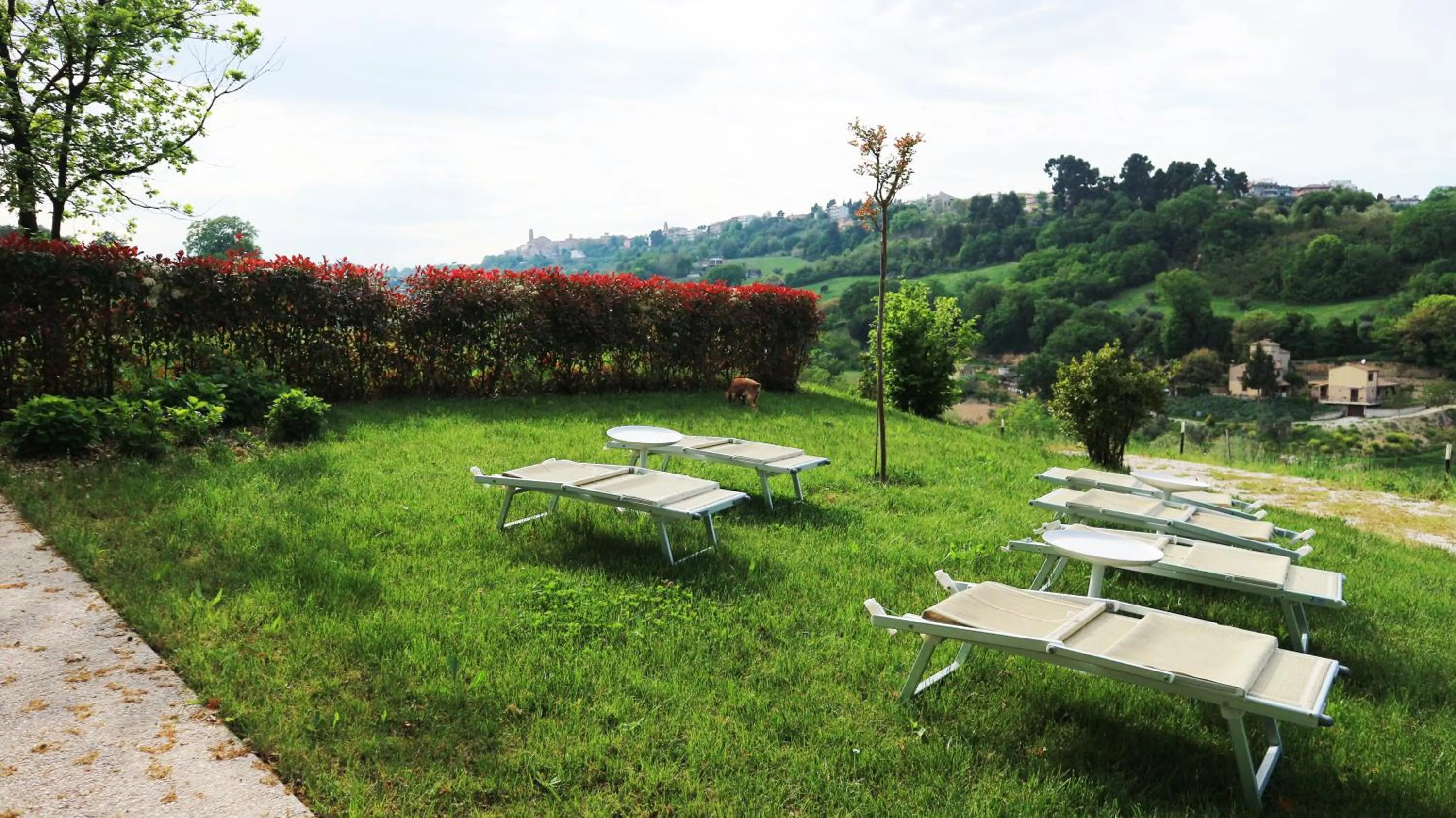 Garden in Cumana Blu Apartments