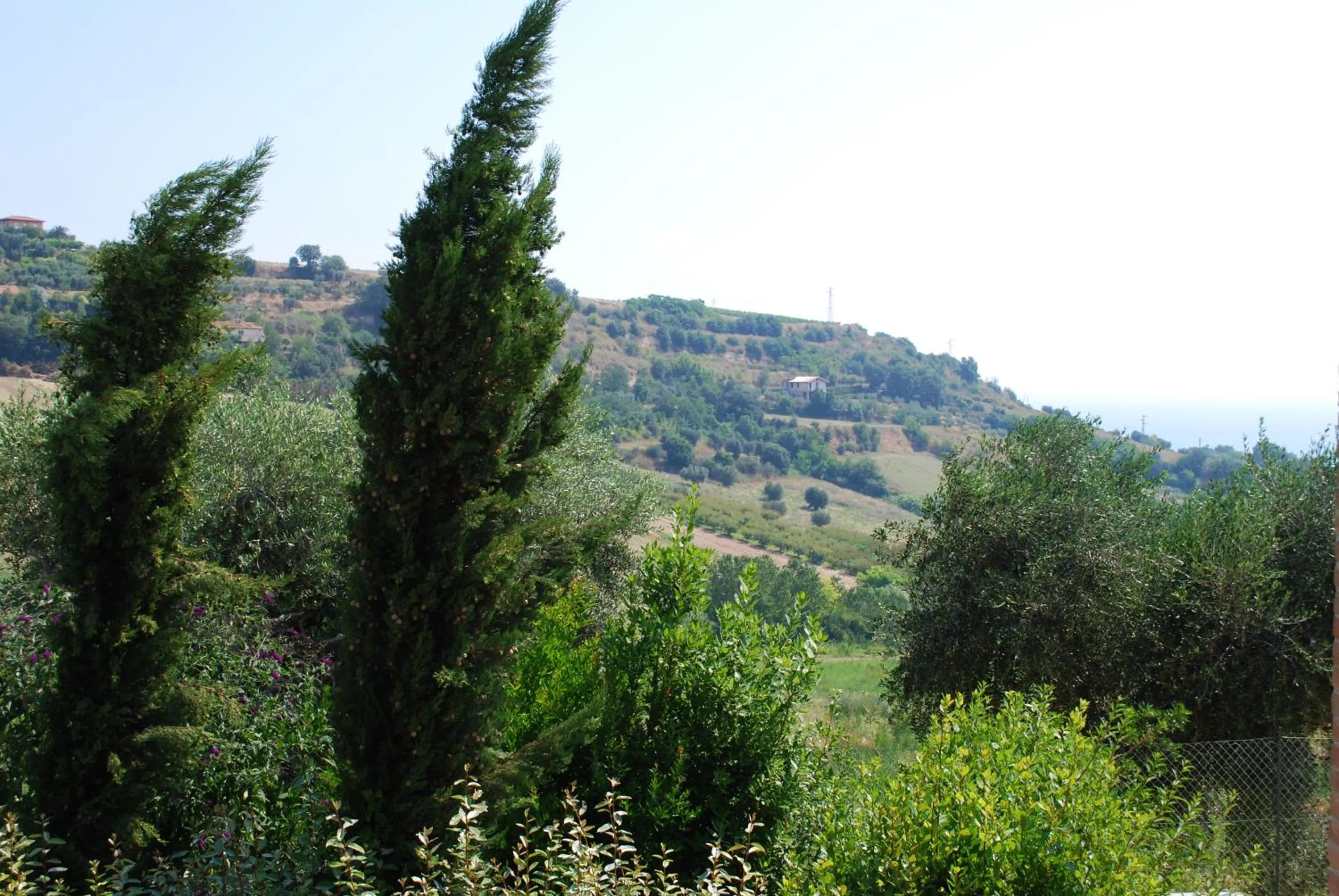 View (from property/room) in Cumana Blu Apartments