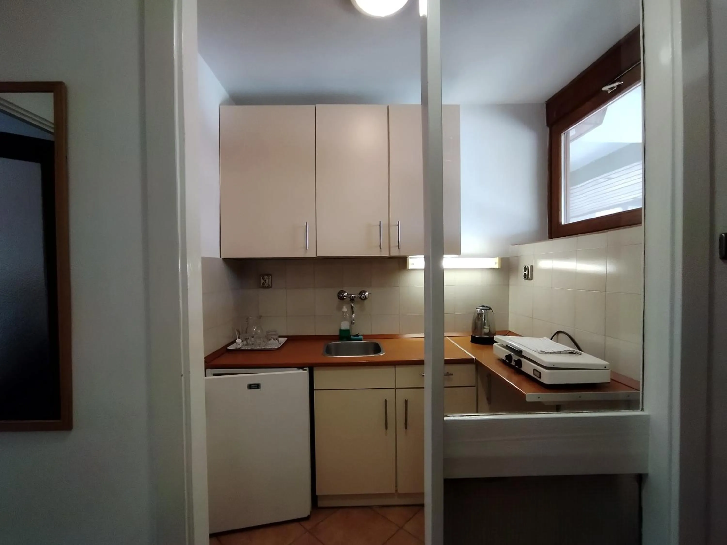 Kitchen or kitchenette in Viking Hotel