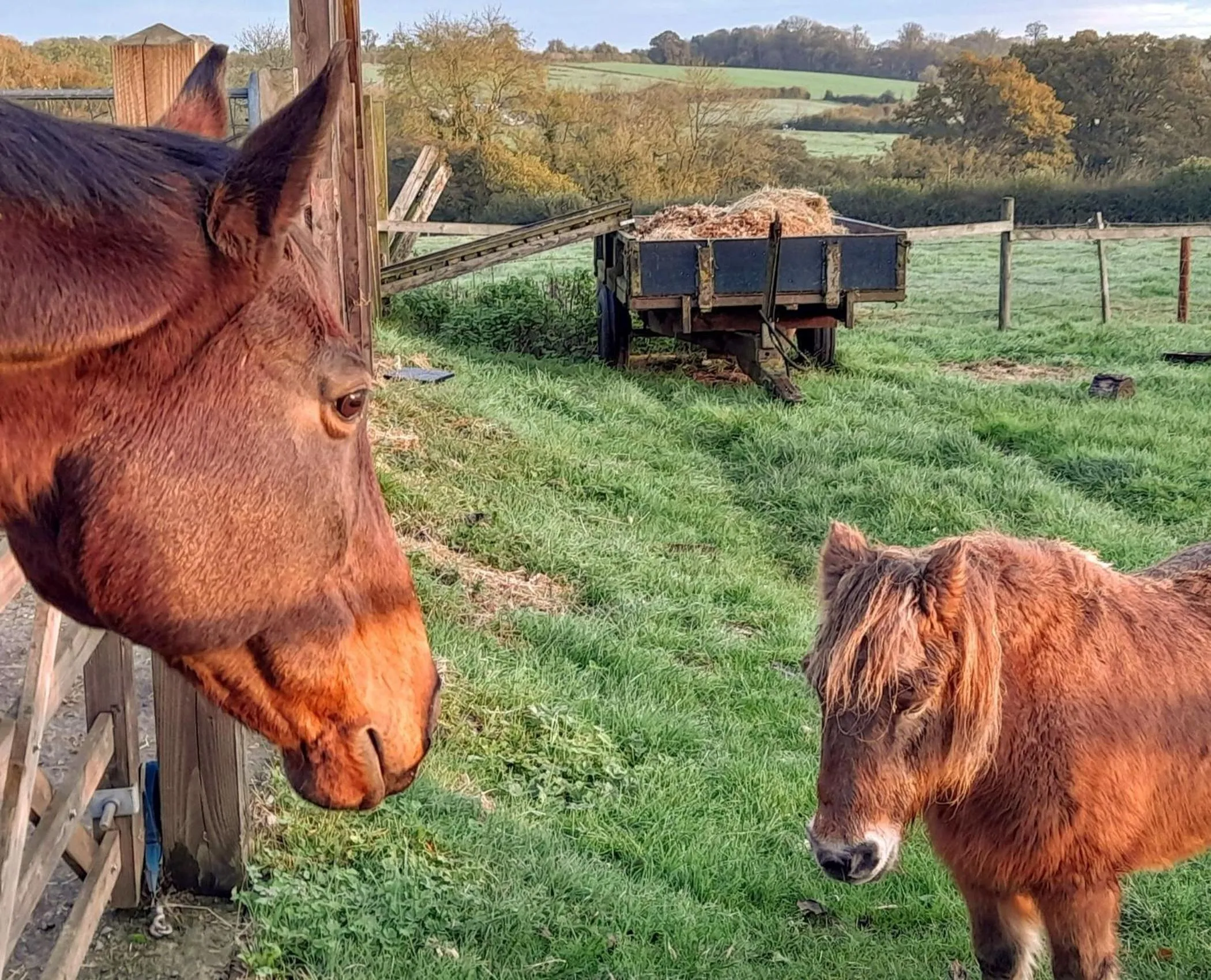 Property building in Knoll Hill Farm, The Place To Stay