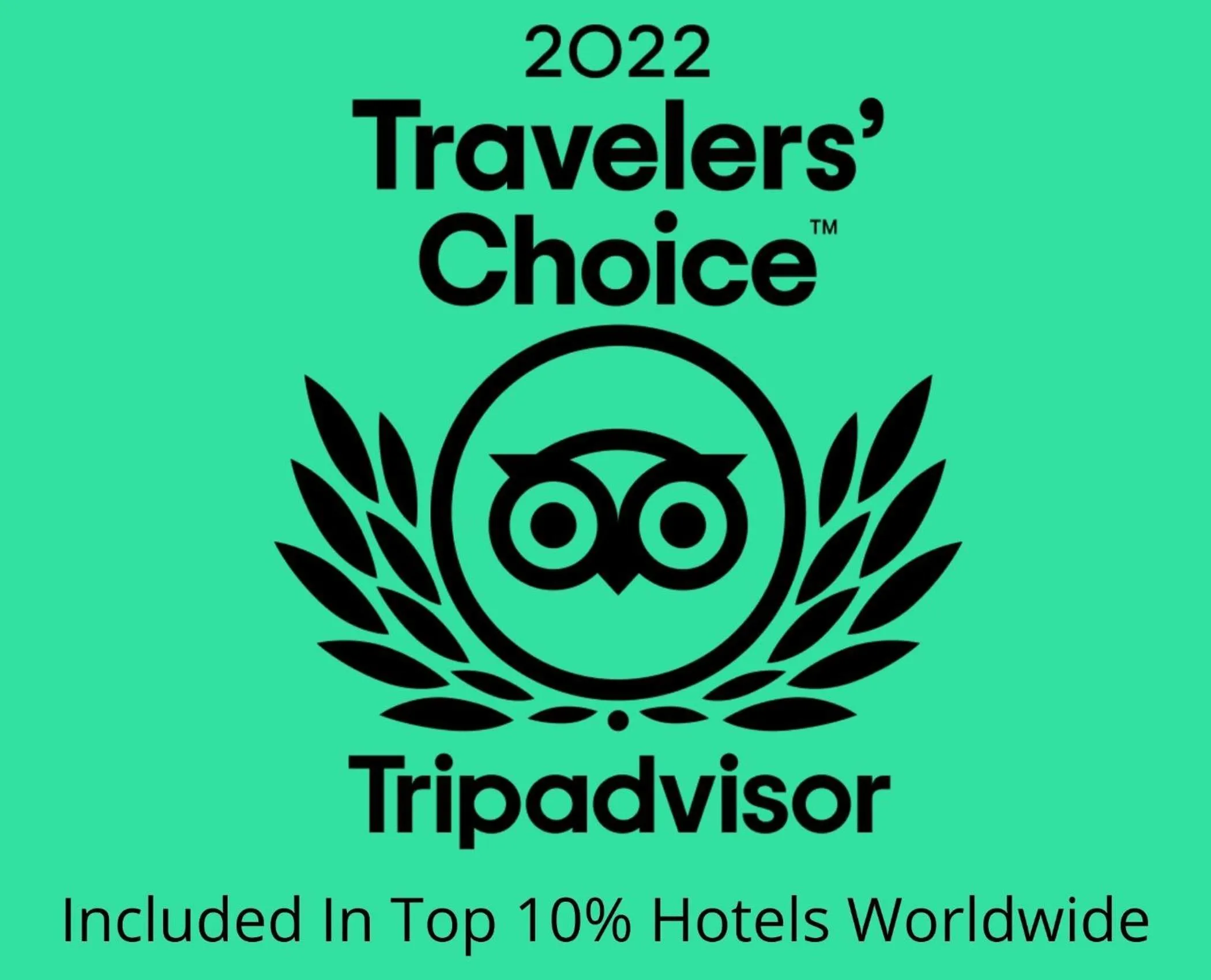 Other in The Place To Stay