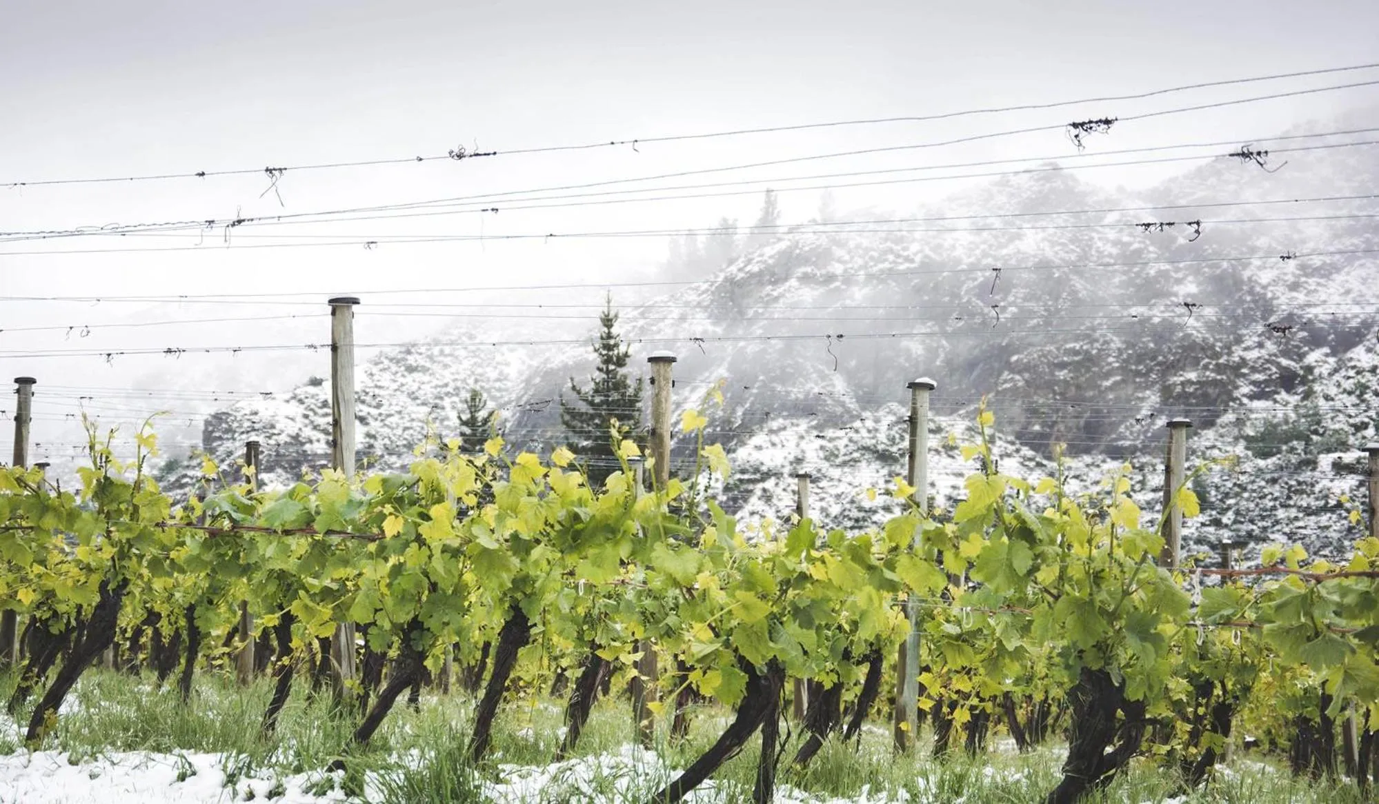 Natural landscape in Gibbston Valley Lodge and Spa