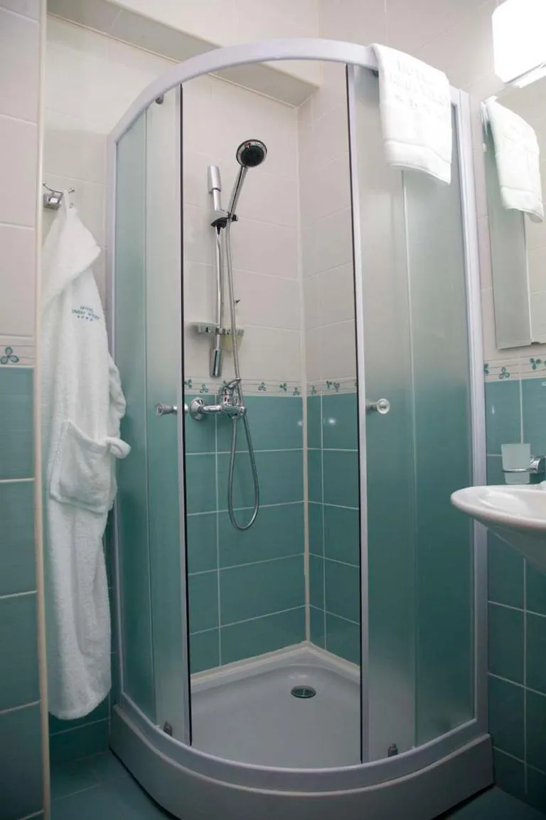 Shower in Hotel Emma West